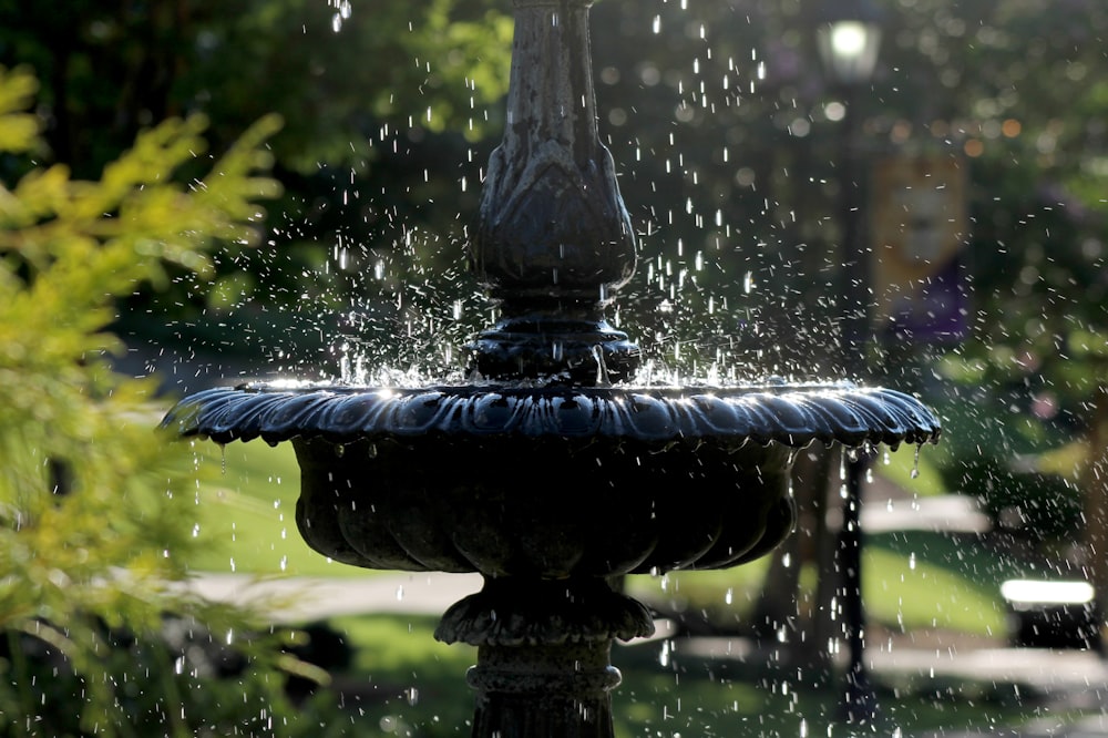 water sprinkling from the fountain at the garden