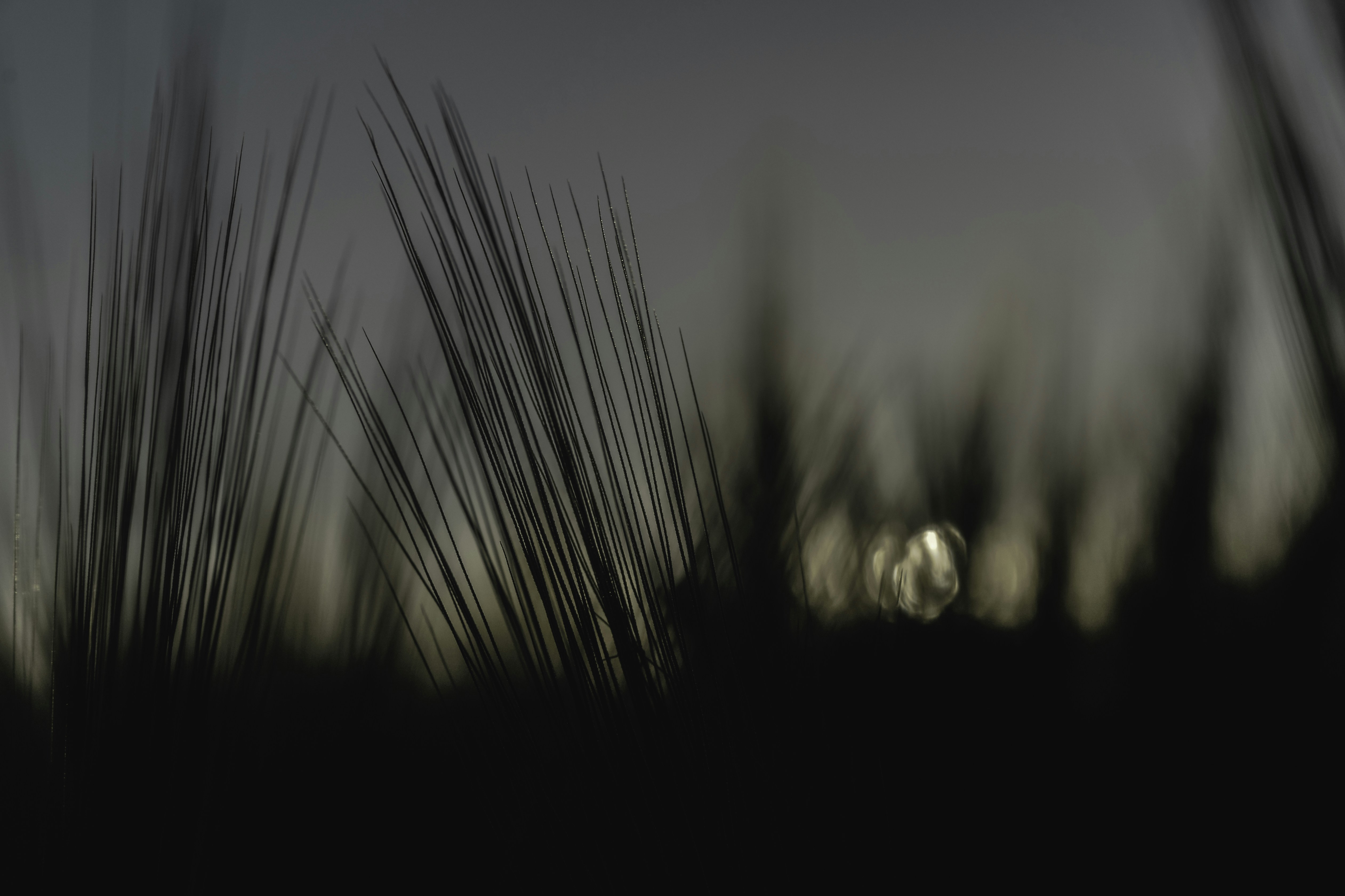 Photo by groomsickle