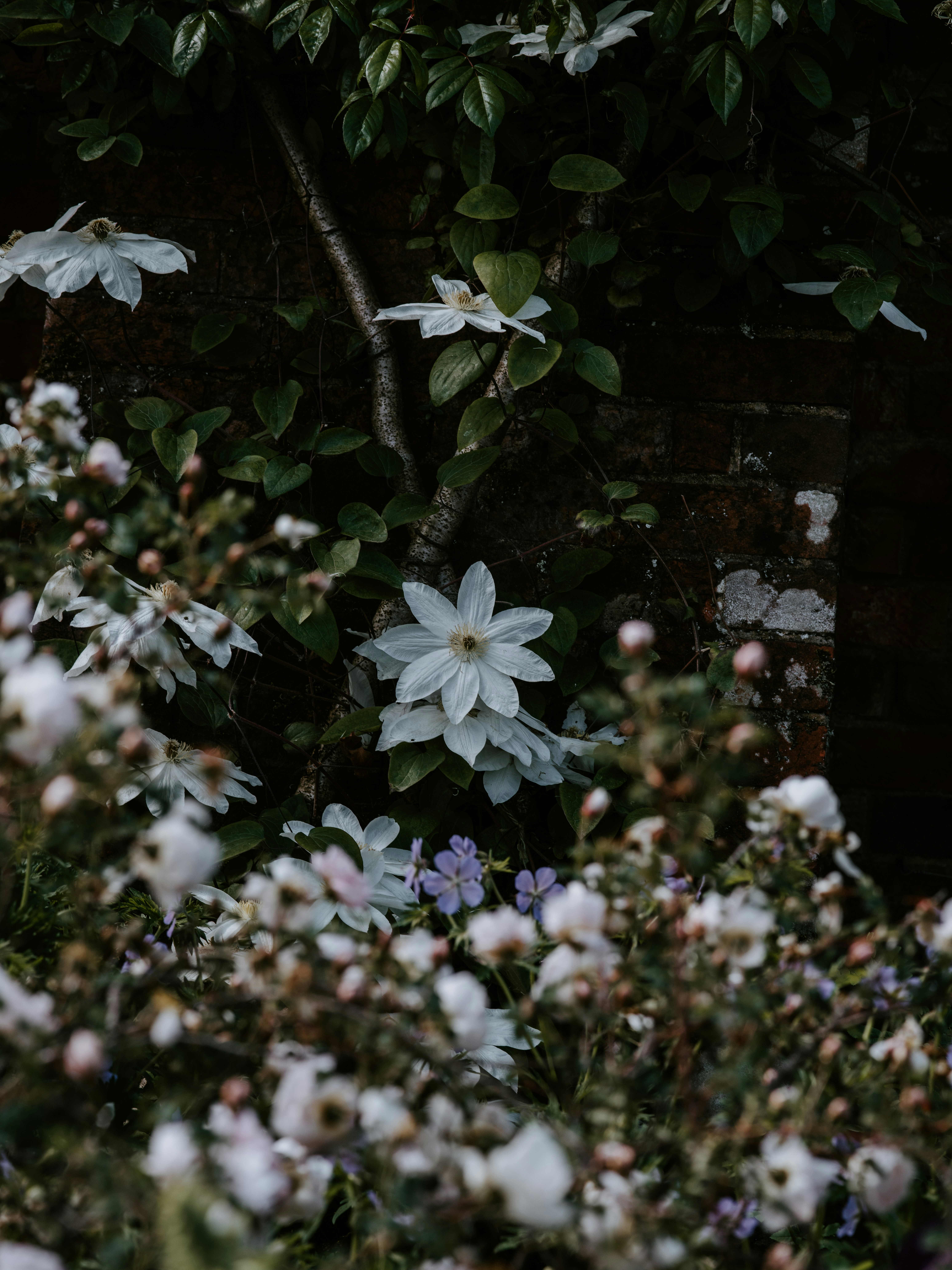 Photo by anniespratt