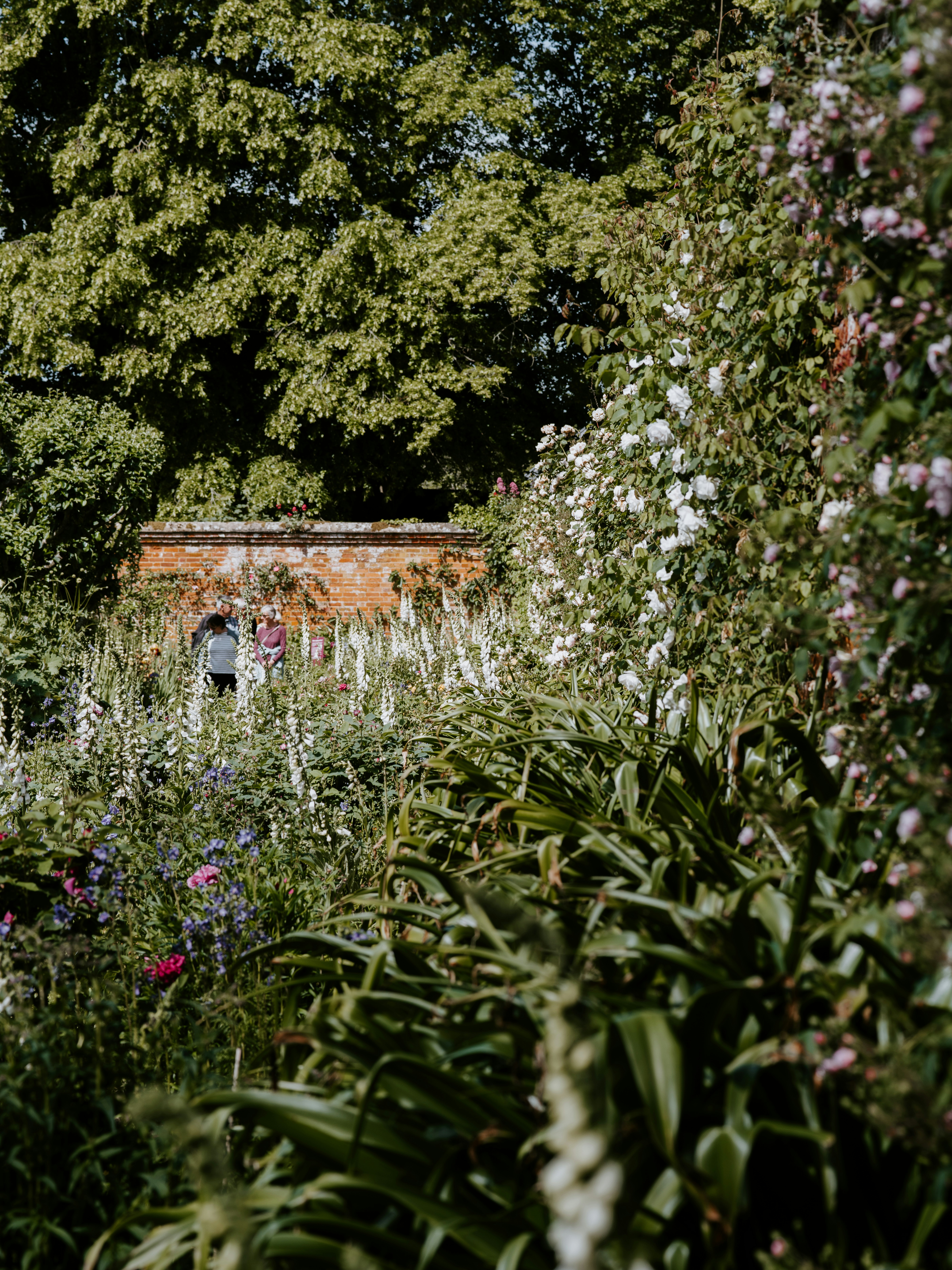 Photo by anniespratt