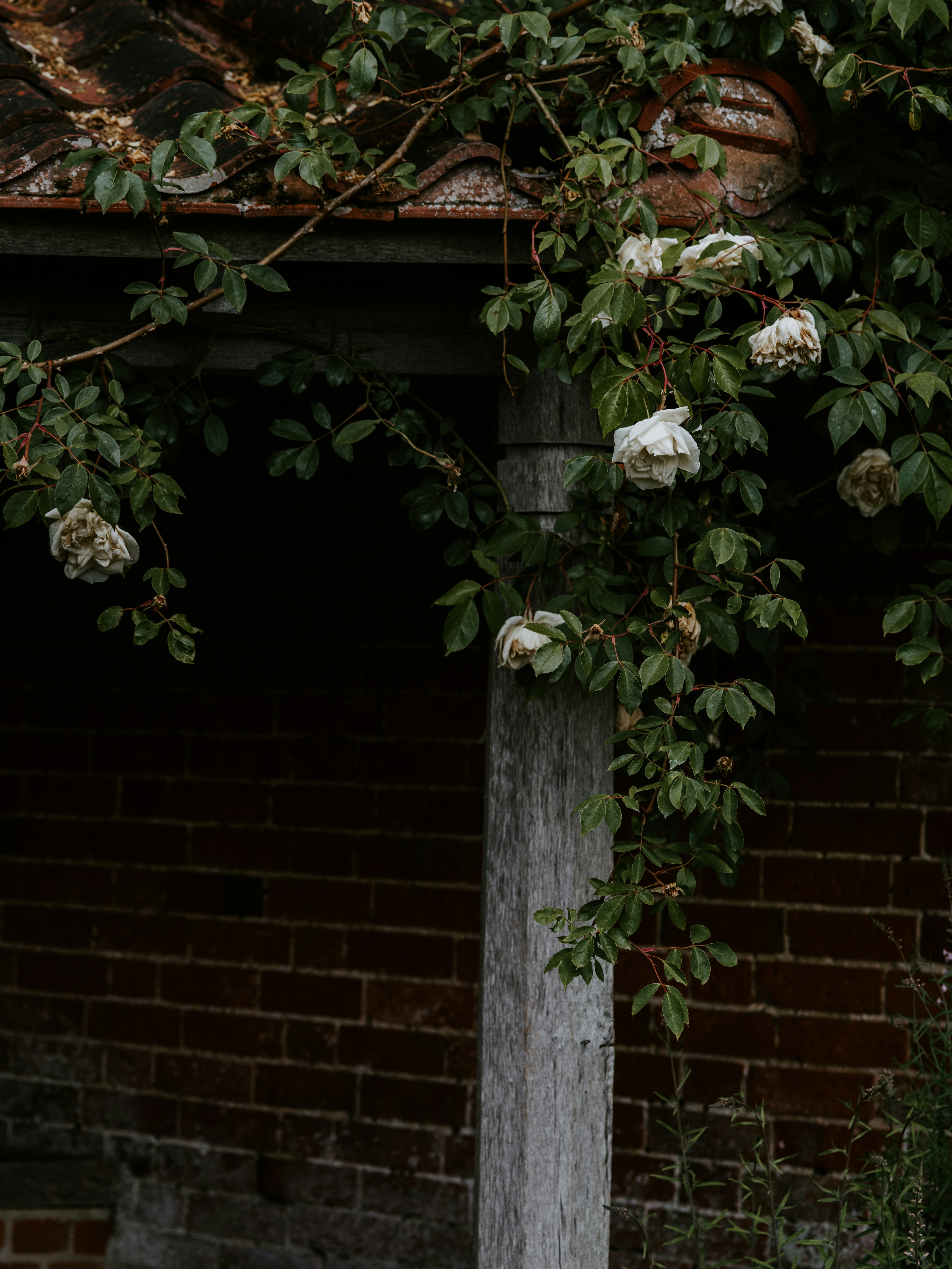 Photo by anniespratt