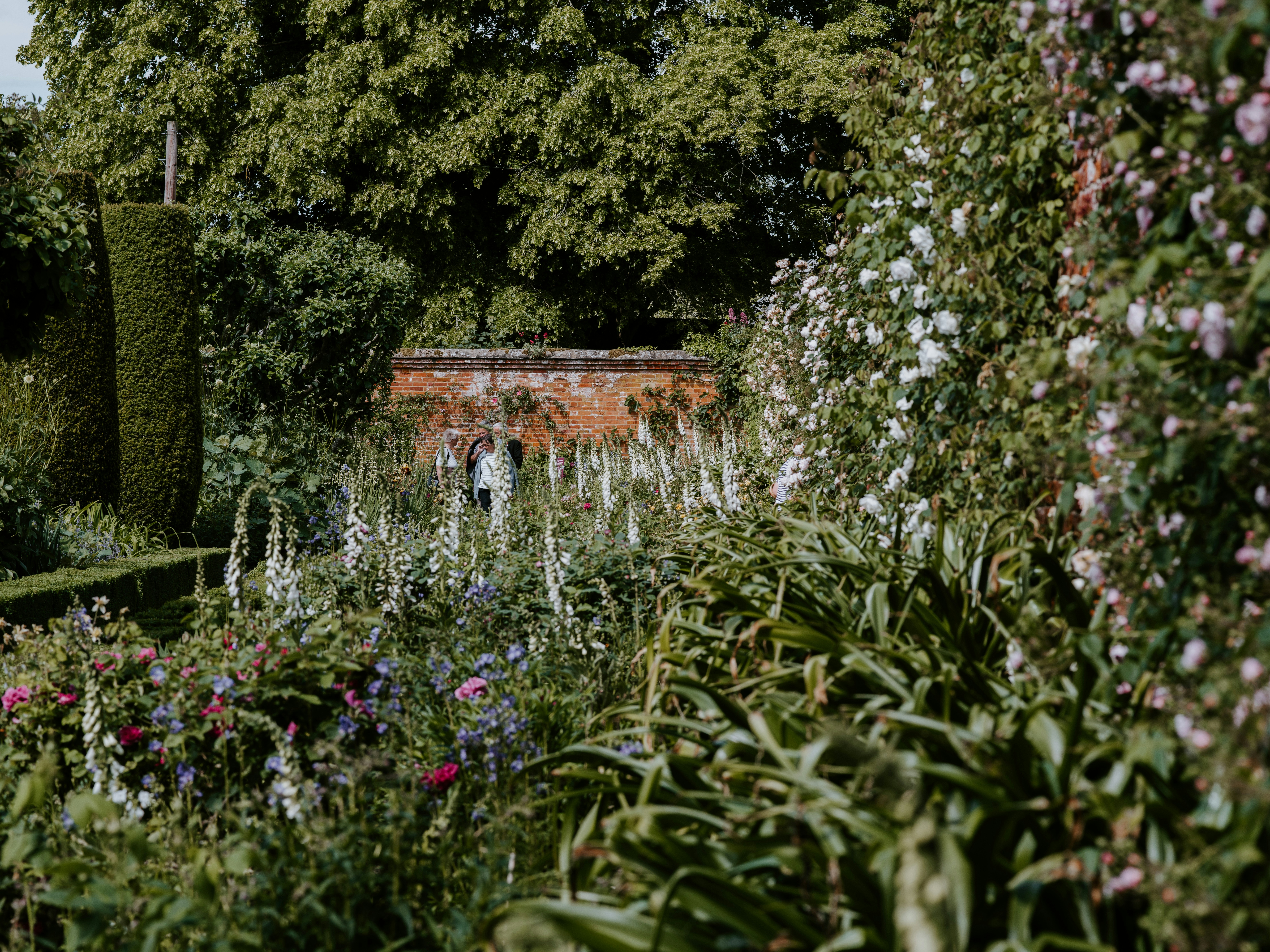 Photo by anniespratt