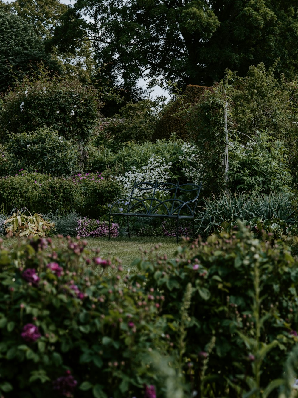 empty metal bench on garden