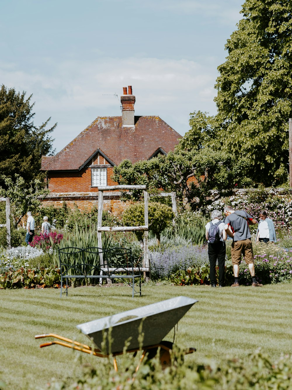 people standing near plants under white sky during daytime