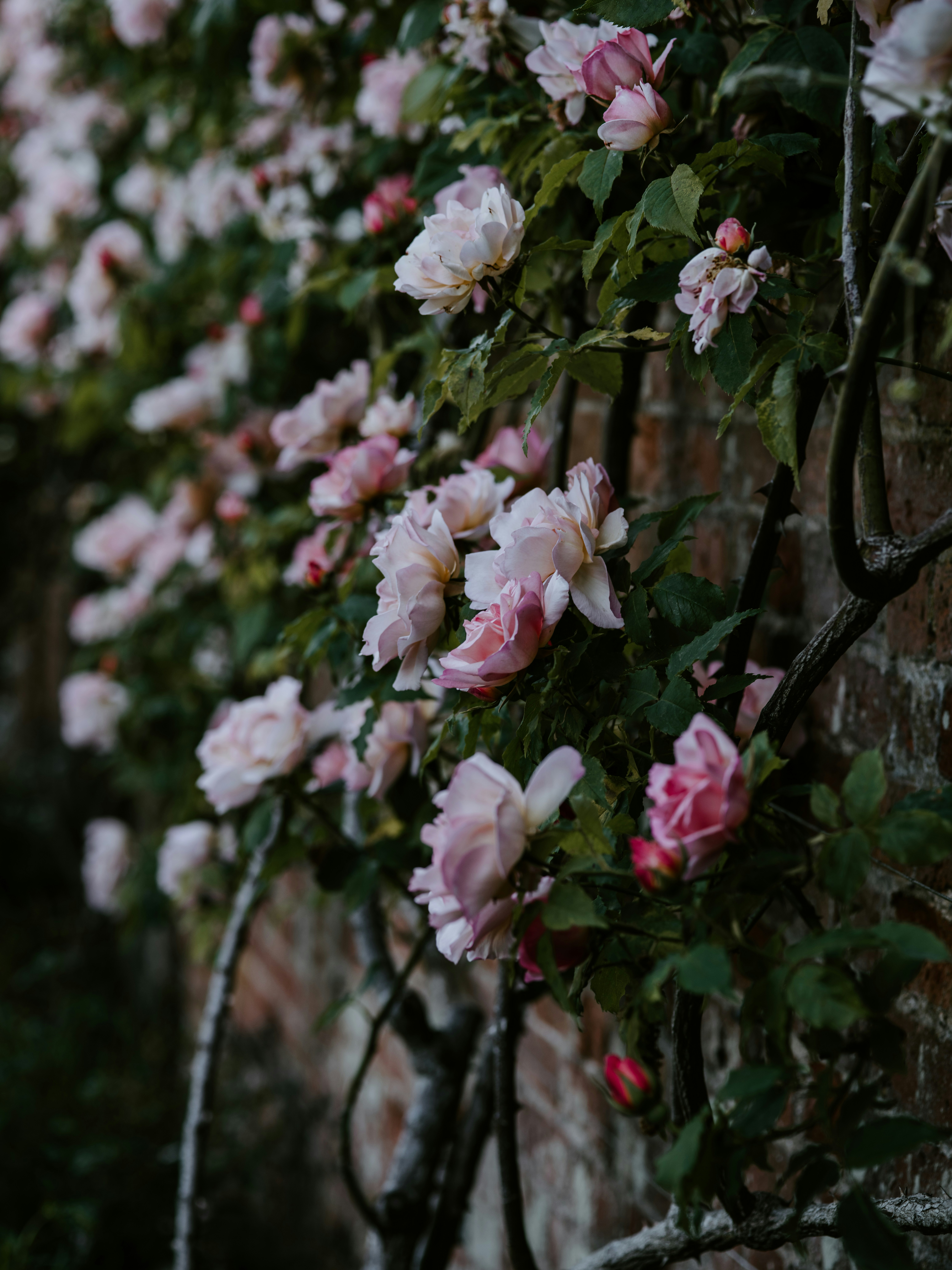 Photo by anniespratt