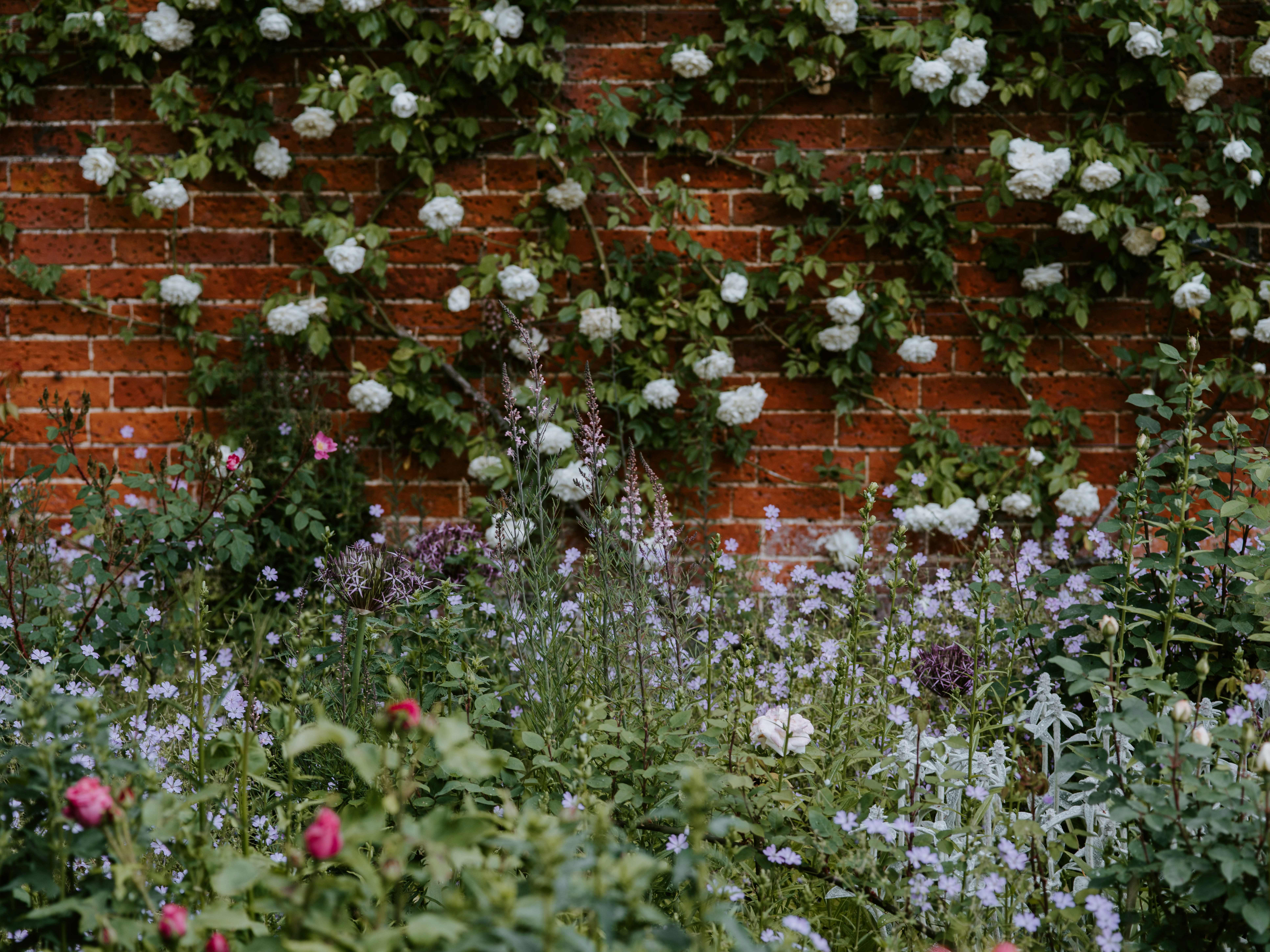 Photo by anniespratt