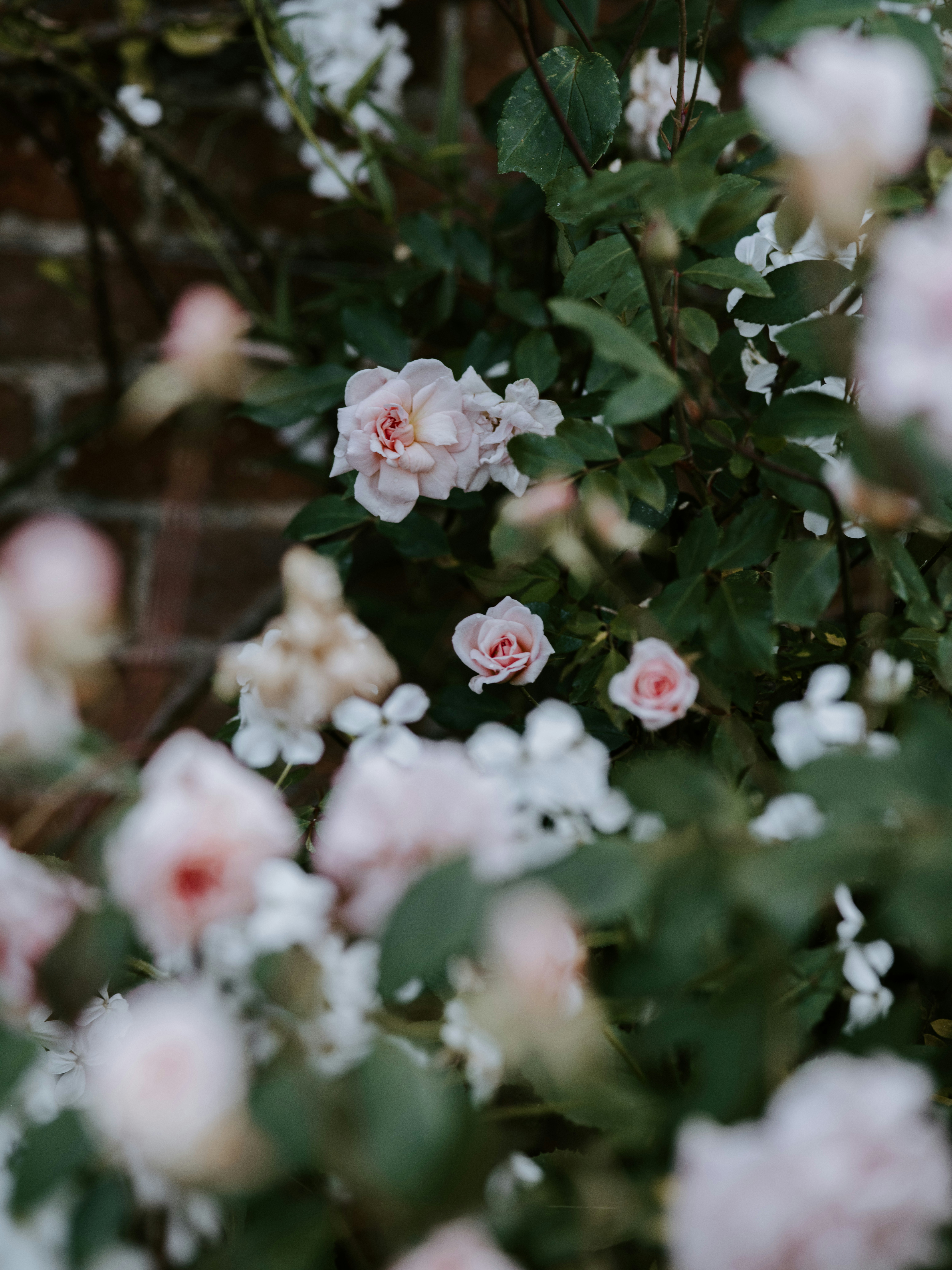 Photo by anniespratt