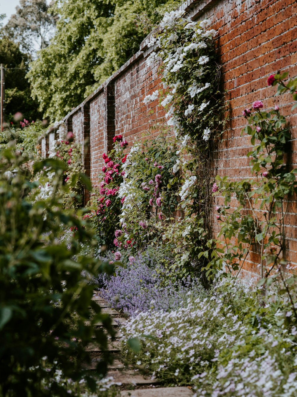 flowers on bricked wall during daytime