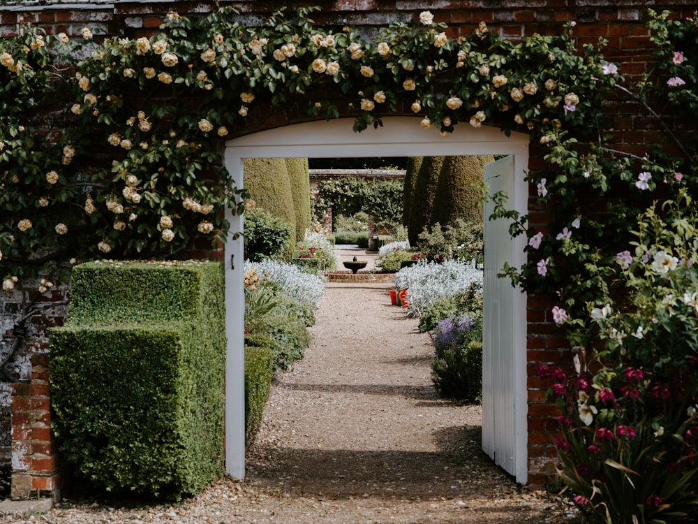 garden near gate