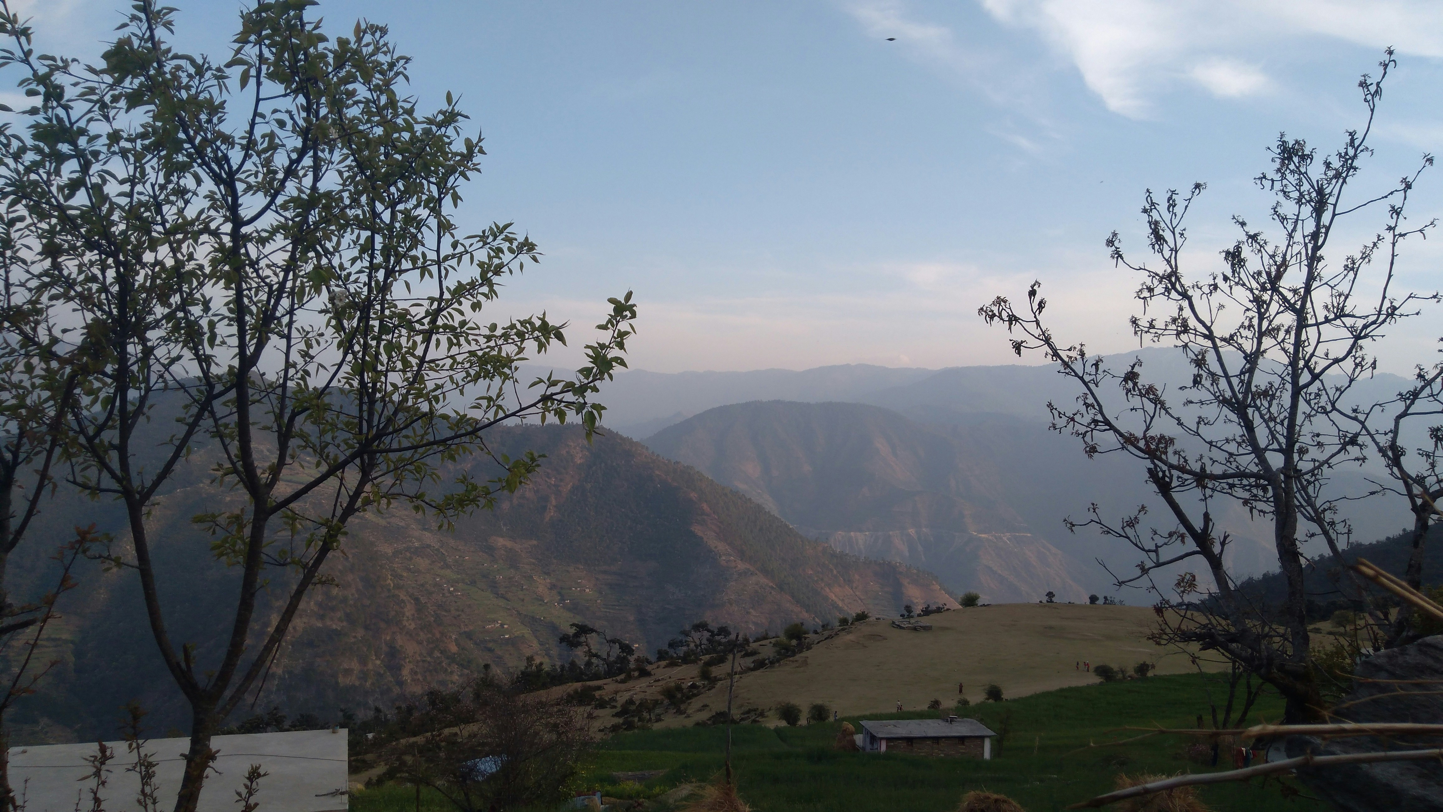 Photo by sunilbohara