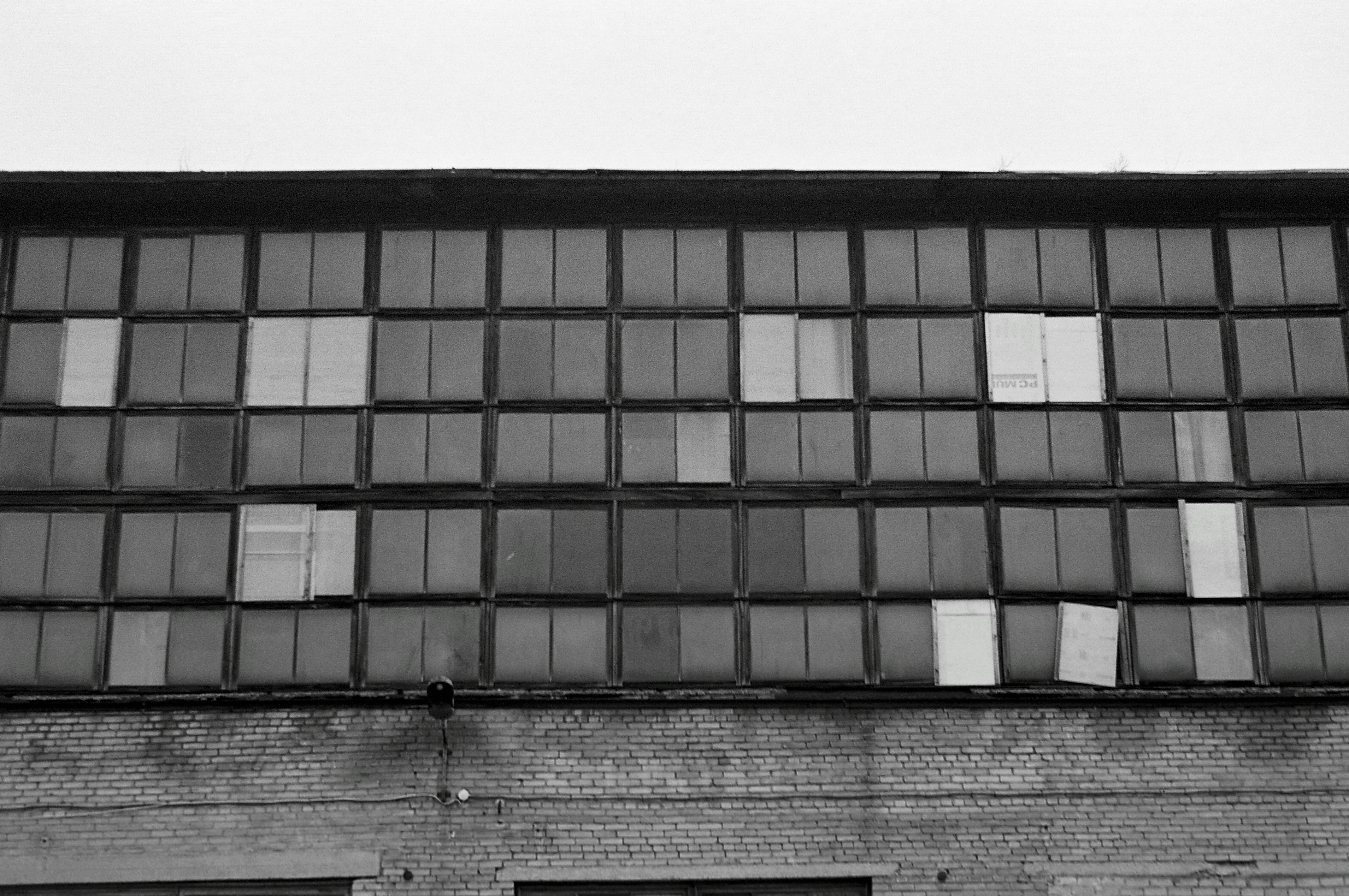 Photo by silverringvee