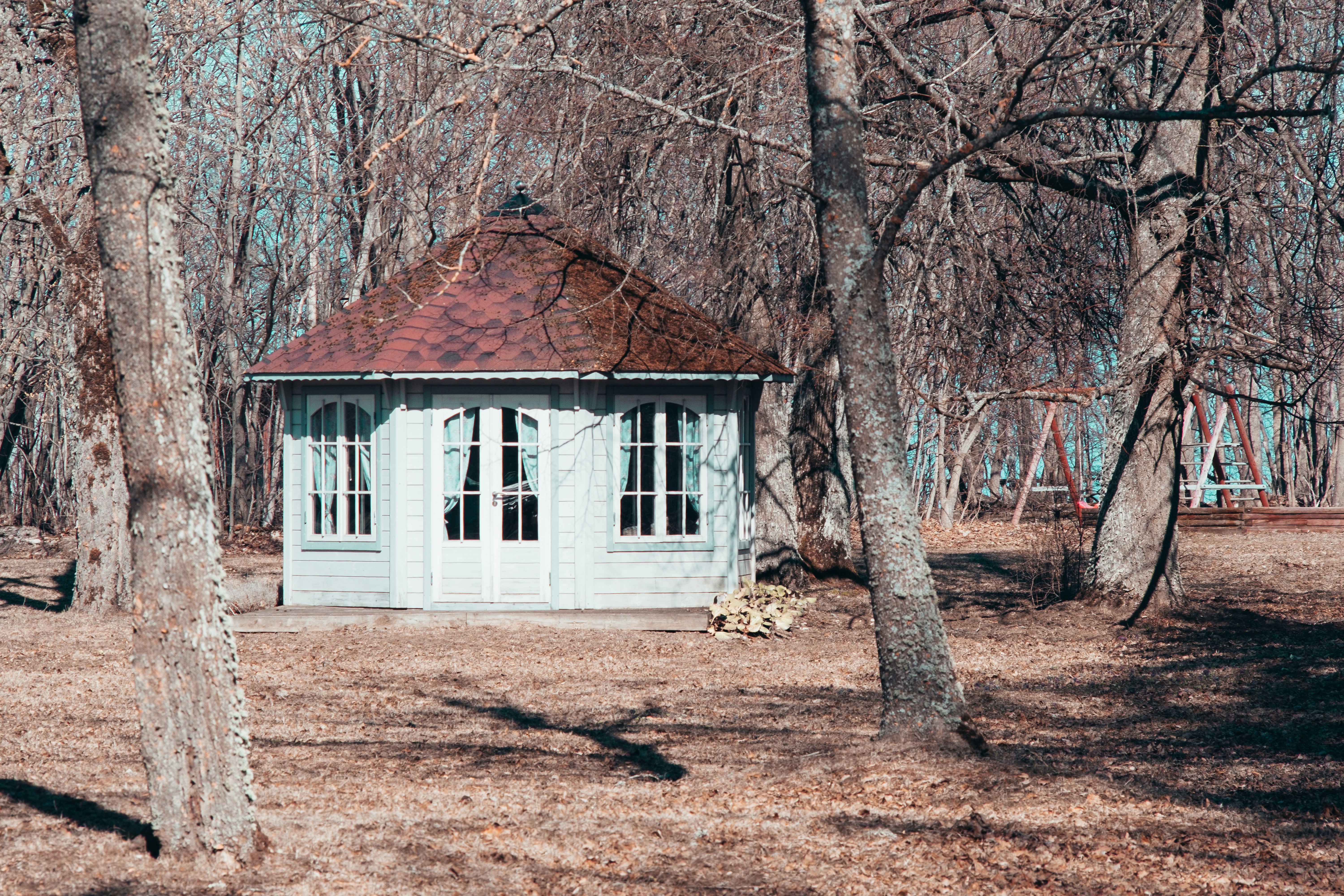 Photo by silverringvee