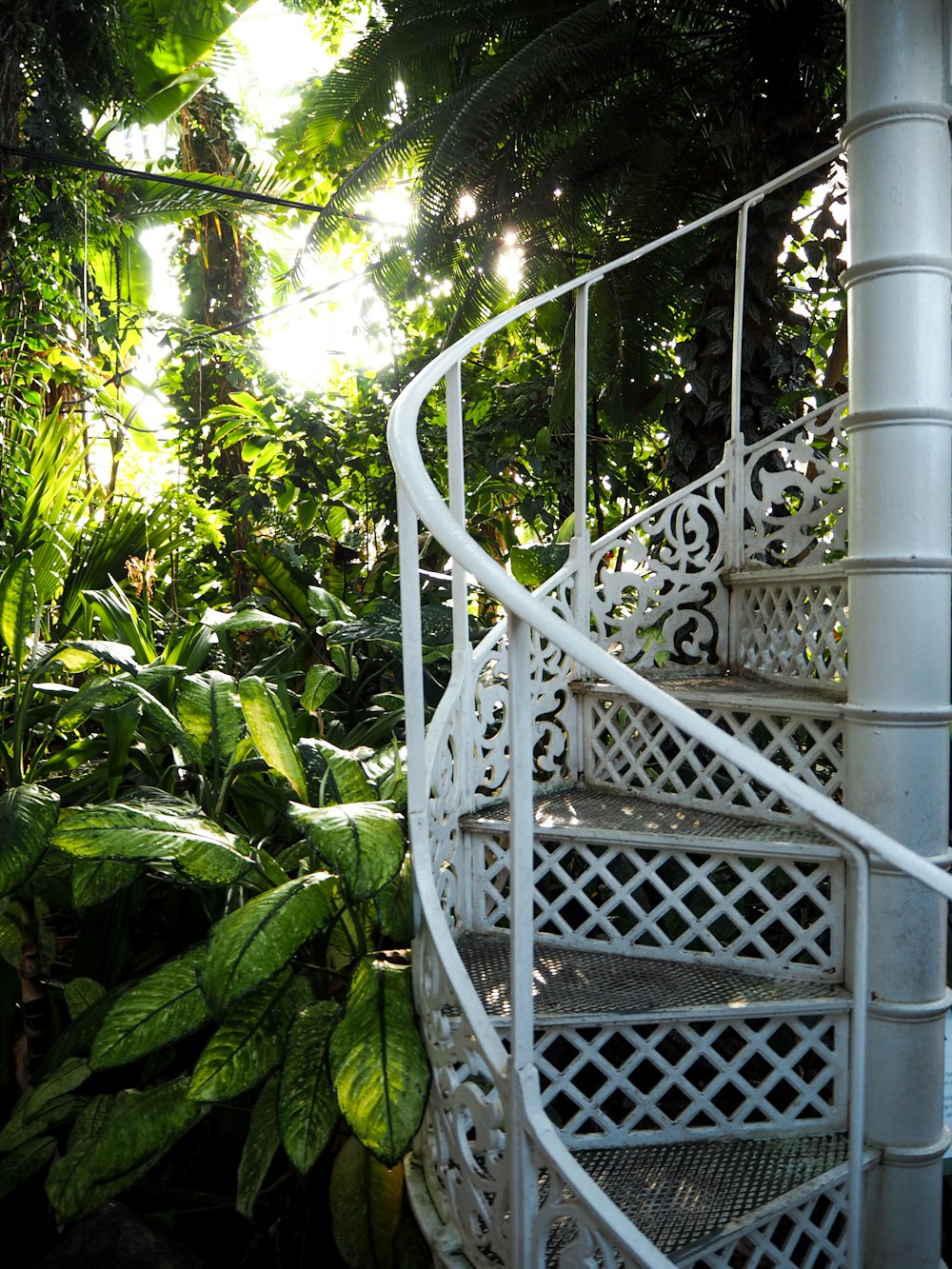 empty metal spiral stairs during daytime