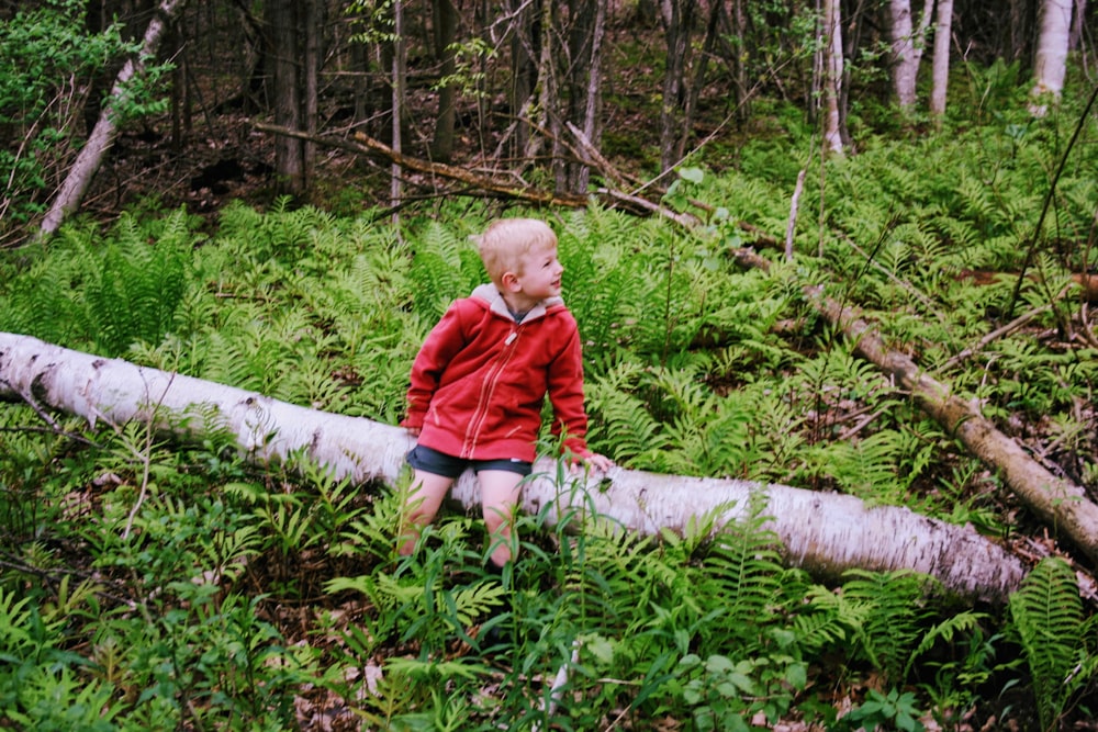 boy in red full-zip hoodie sitting on tree log