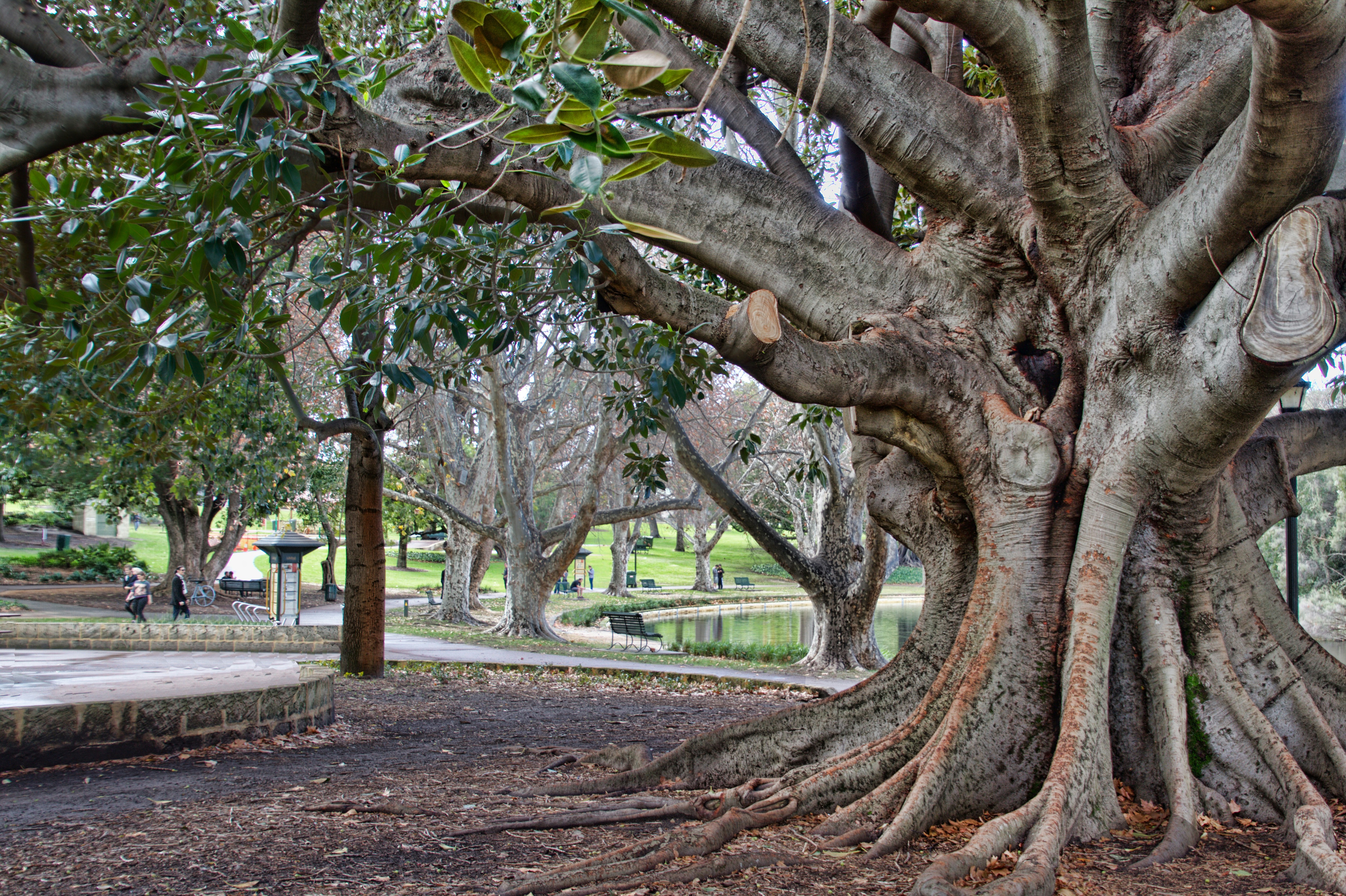 Photo by stevedoigphoto