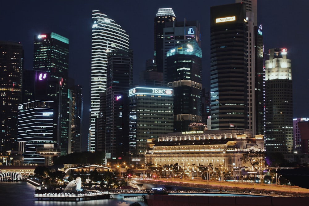 lighted city skyline at night time