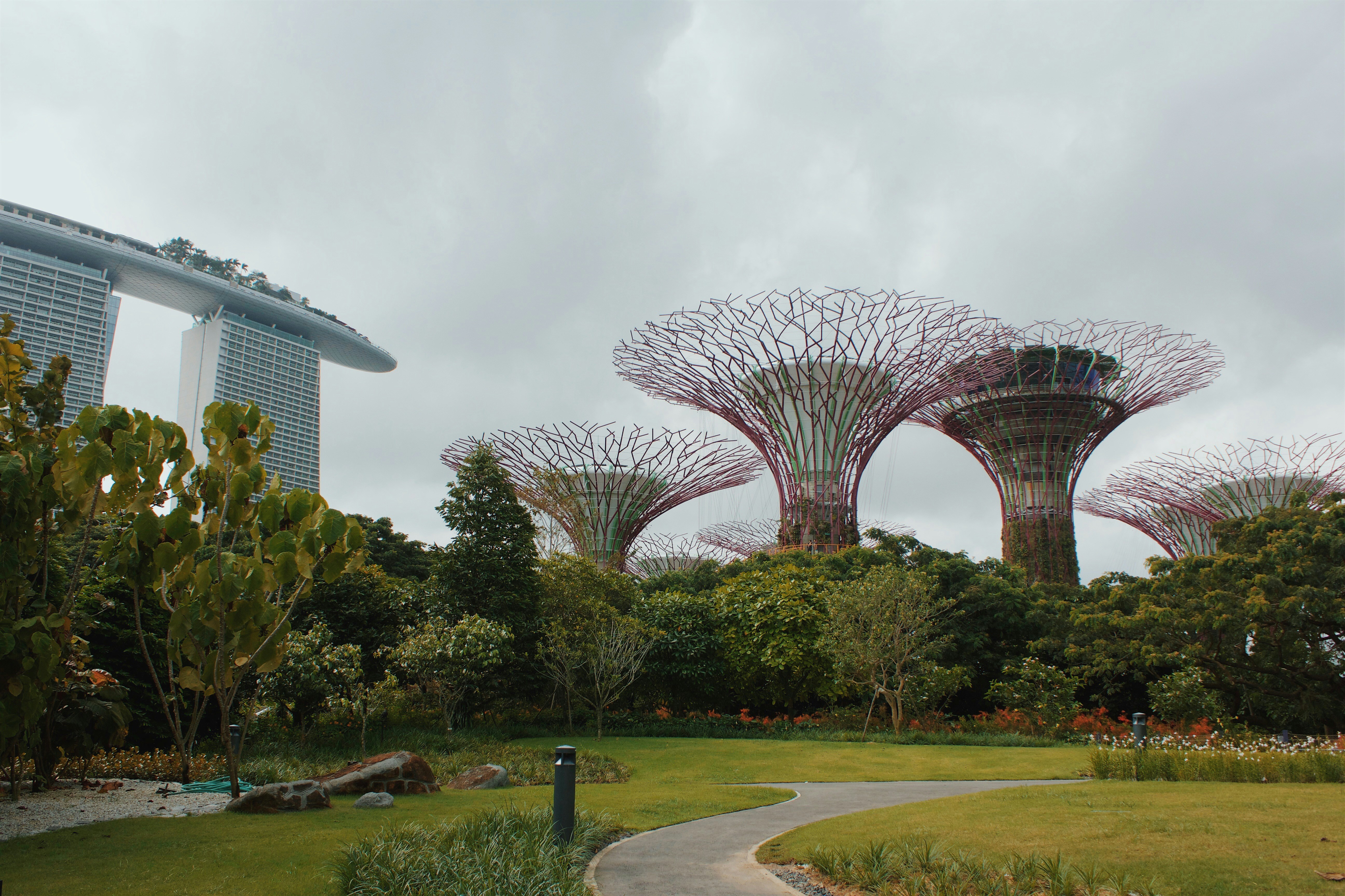 pink and brown mushroom shaped structures