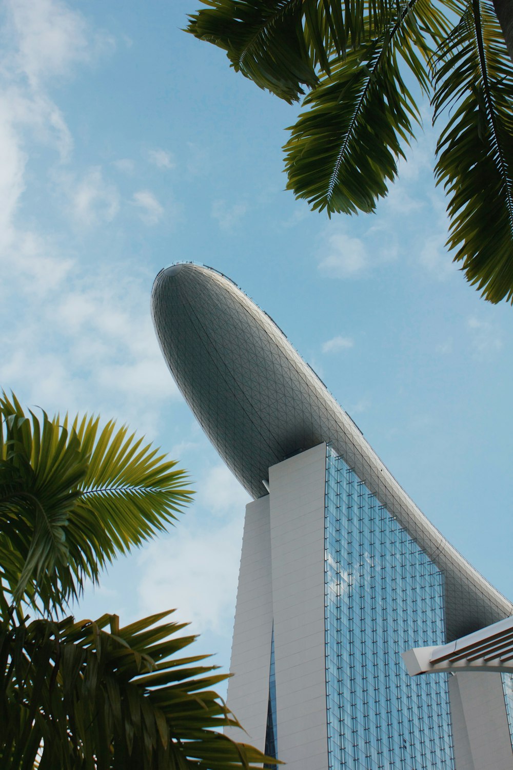 a tall building sitting next to a palm tree