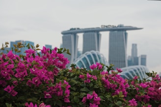 Modern apartment terrace with vibrant bougainvillea and city skyline.