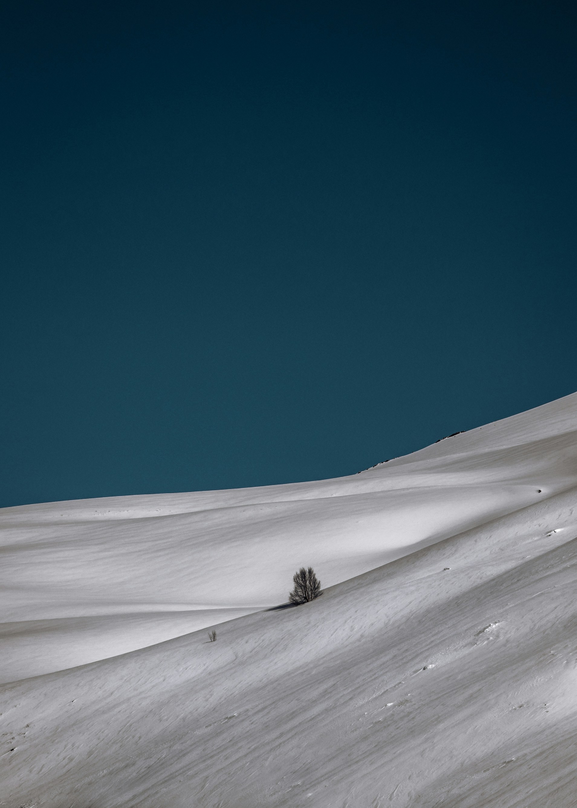 Photo by kirillpershin