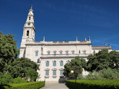 building with bell tower behind tall trees