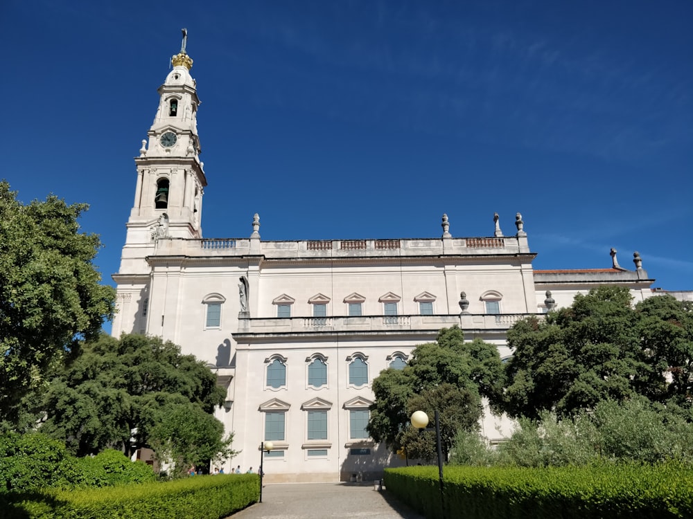 building with bell tower behind tall trees