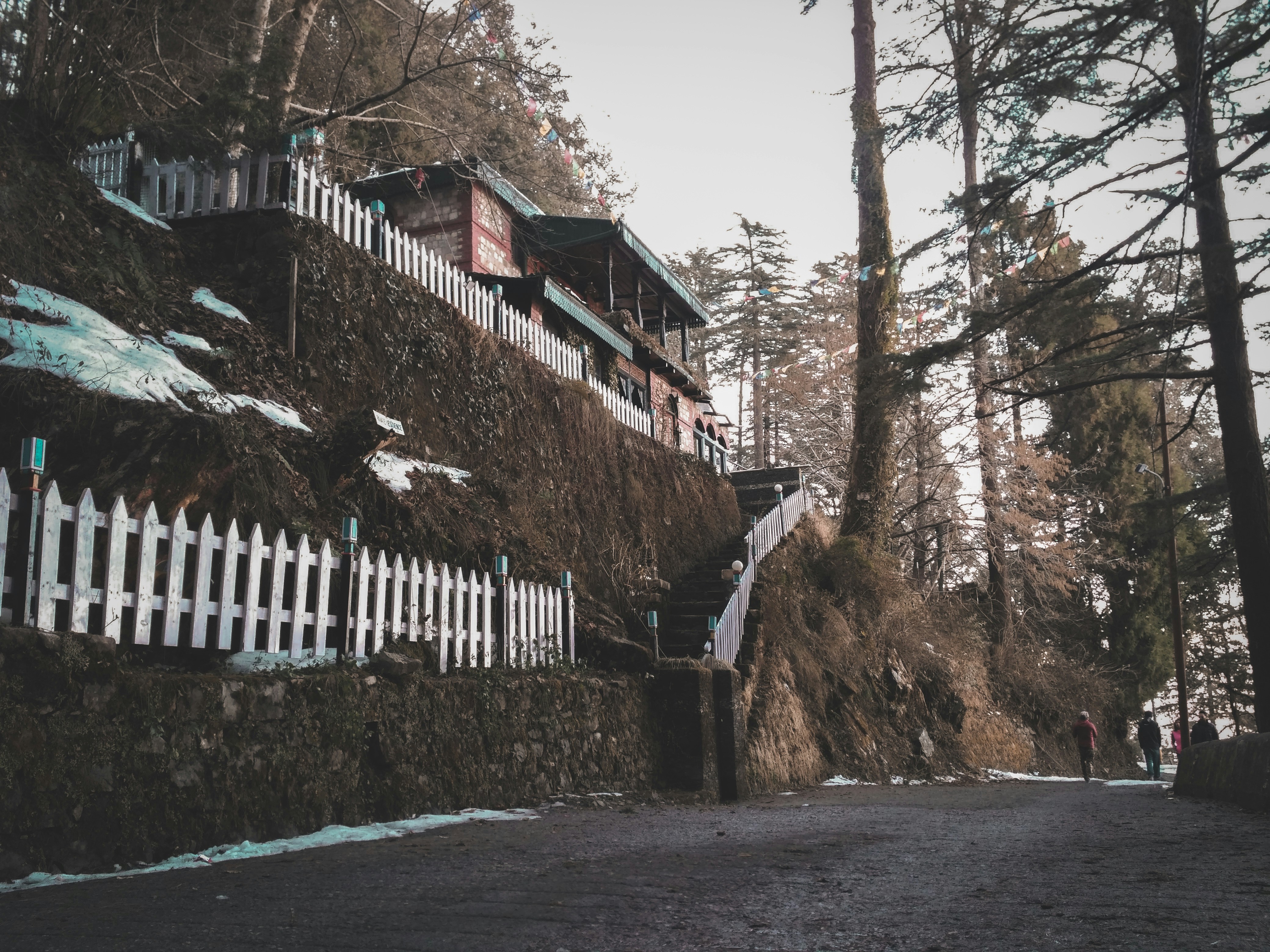 Photo by siddhanth_kashyap