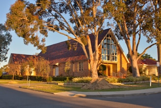 Historic schoolhouse building bathed in warm afternoon light, surrounded by mature trees.