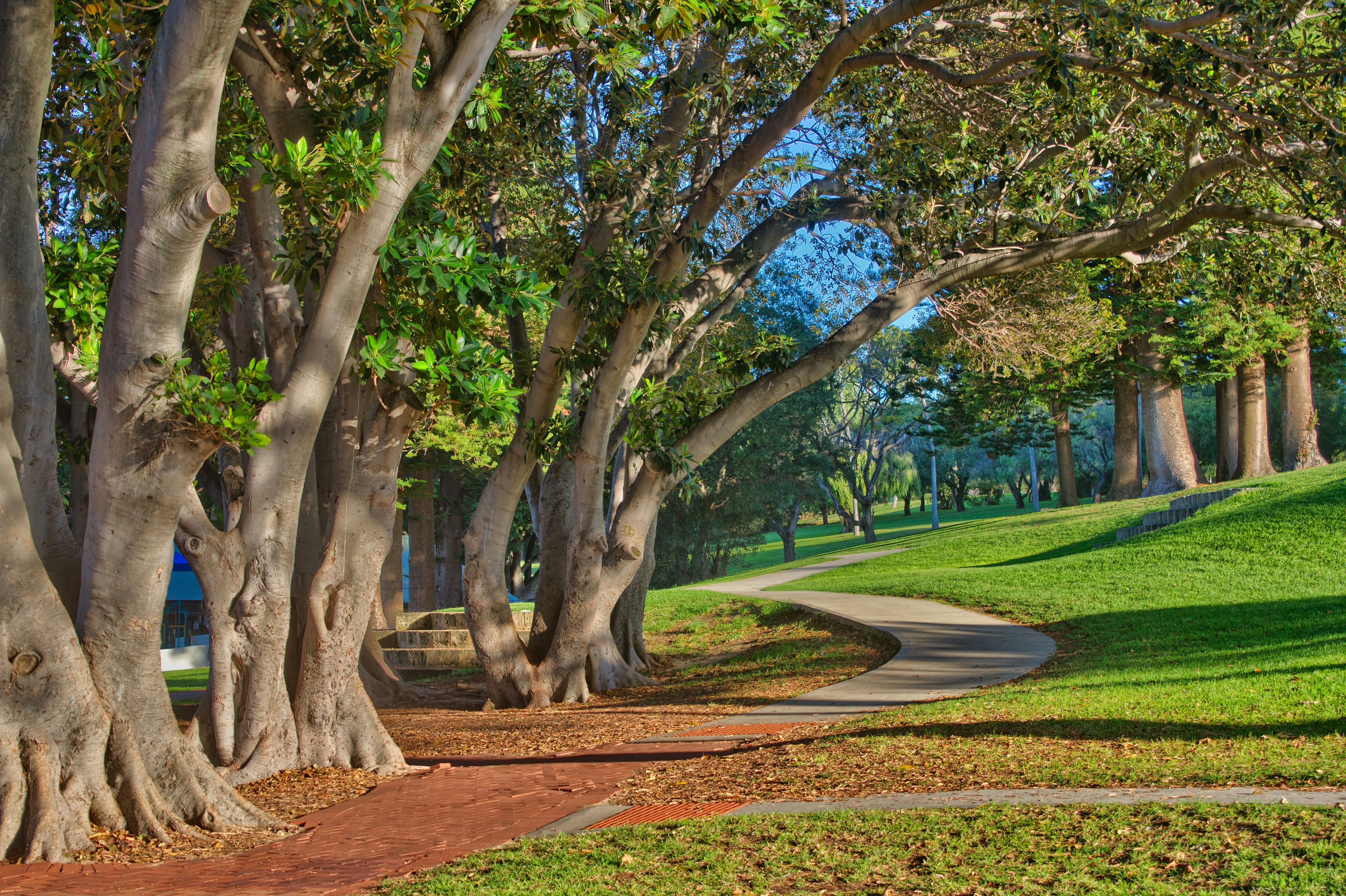 Photo by stevedoigphoto