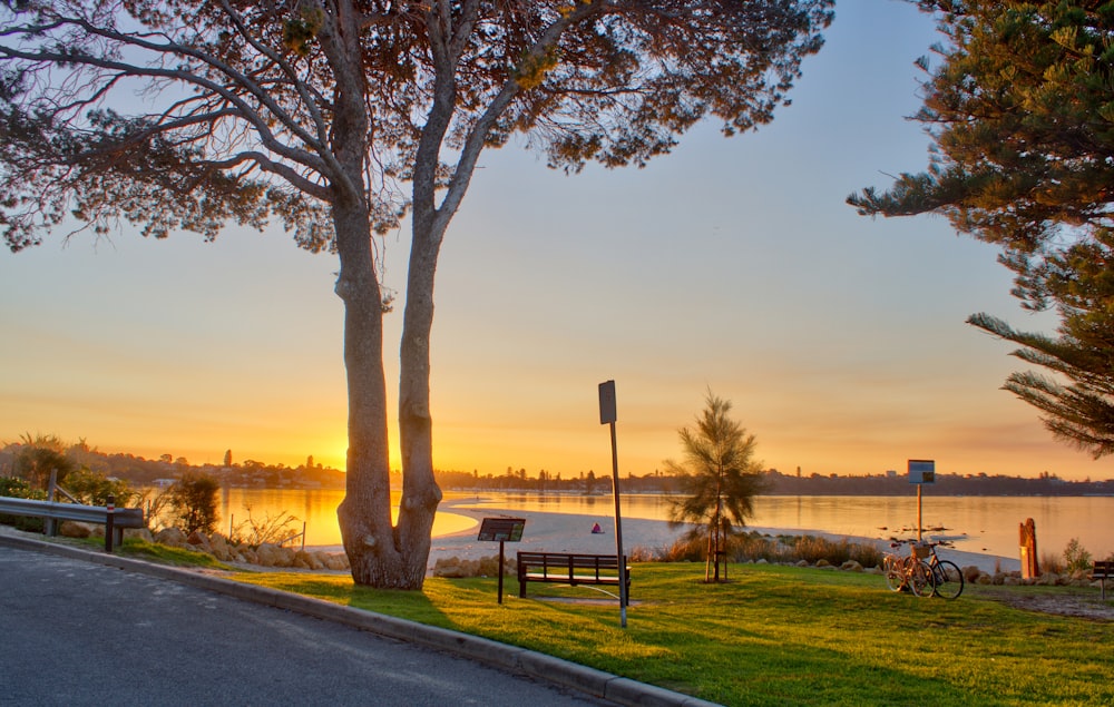 the sun is setting over the water and trees