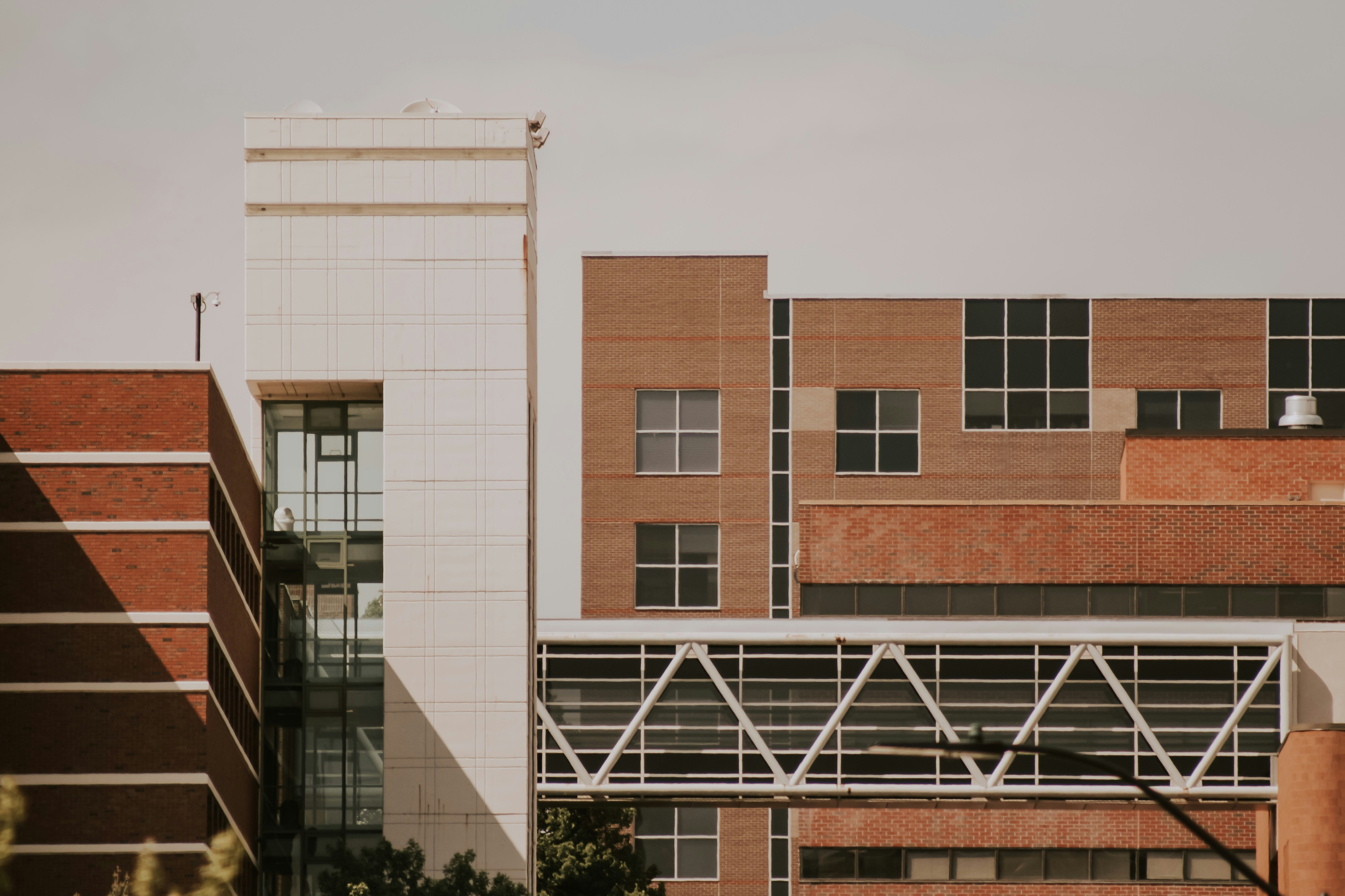 Photo by carlyjohansen