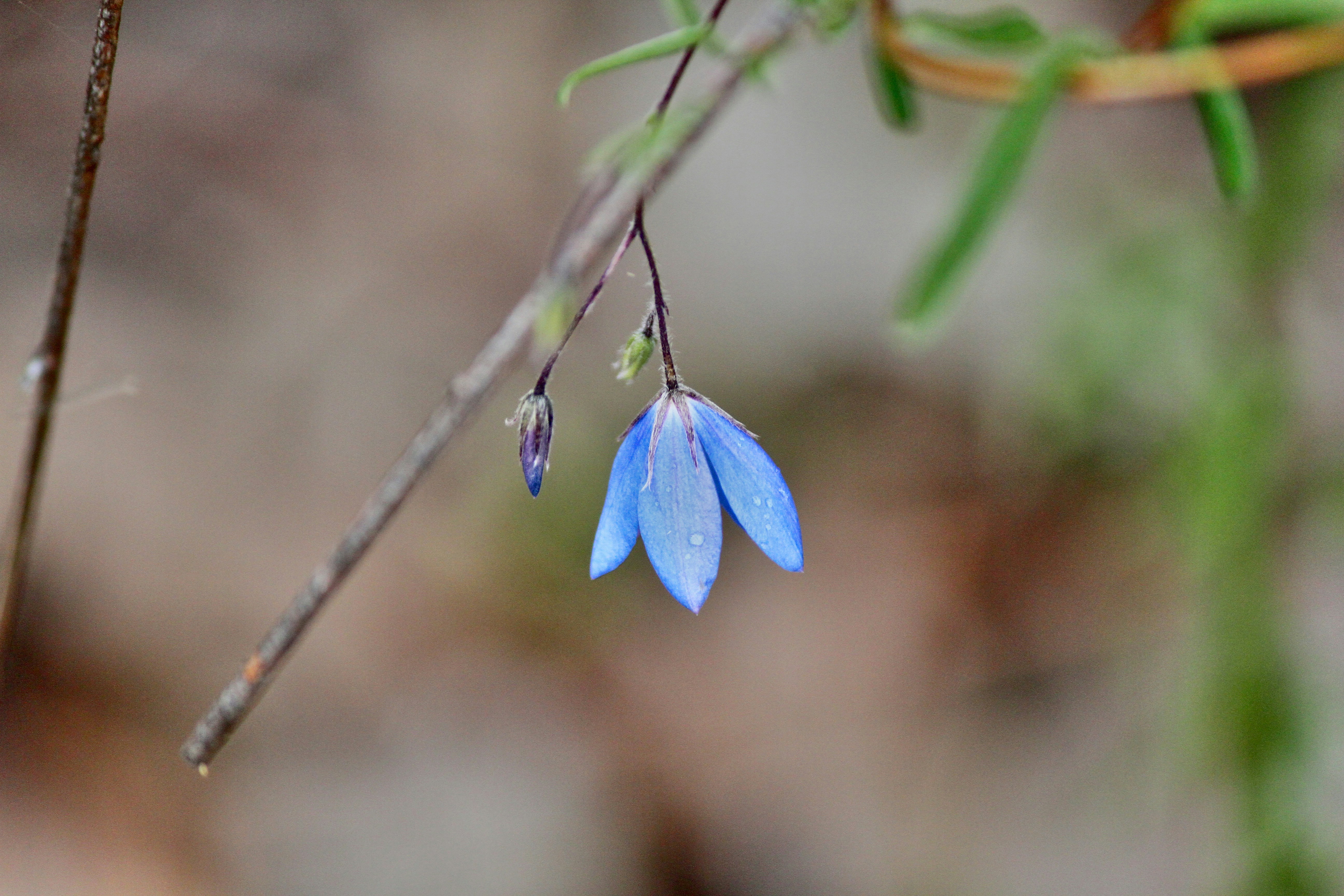 Photo by stevedoigphoto