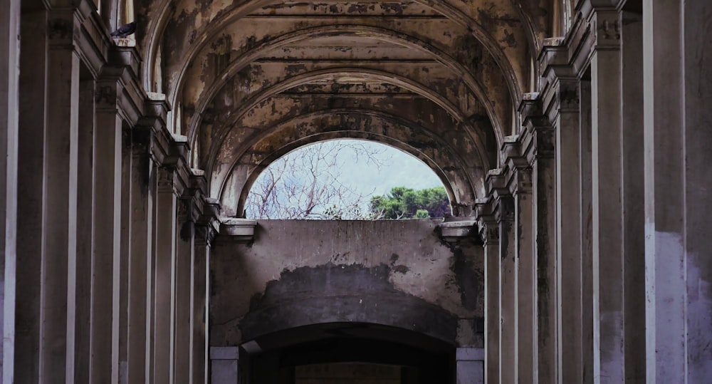 a very old building with a bunch of columns