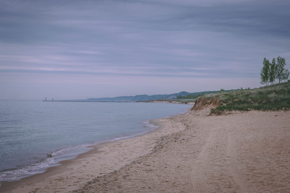 brown sand beside sea