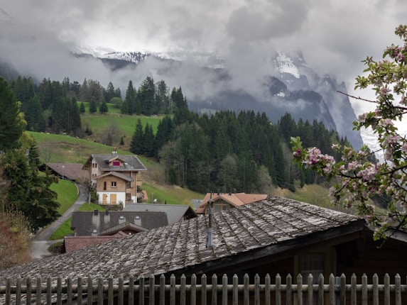 A quaint village nestled in a mountain landscape with rustic houses and winding paths. Pine trees cover the hillside beneath a backdrop of snow-capped mountains shrouded in gray clouds. Blooming branches in the foreground add a touch of spring to the scene.