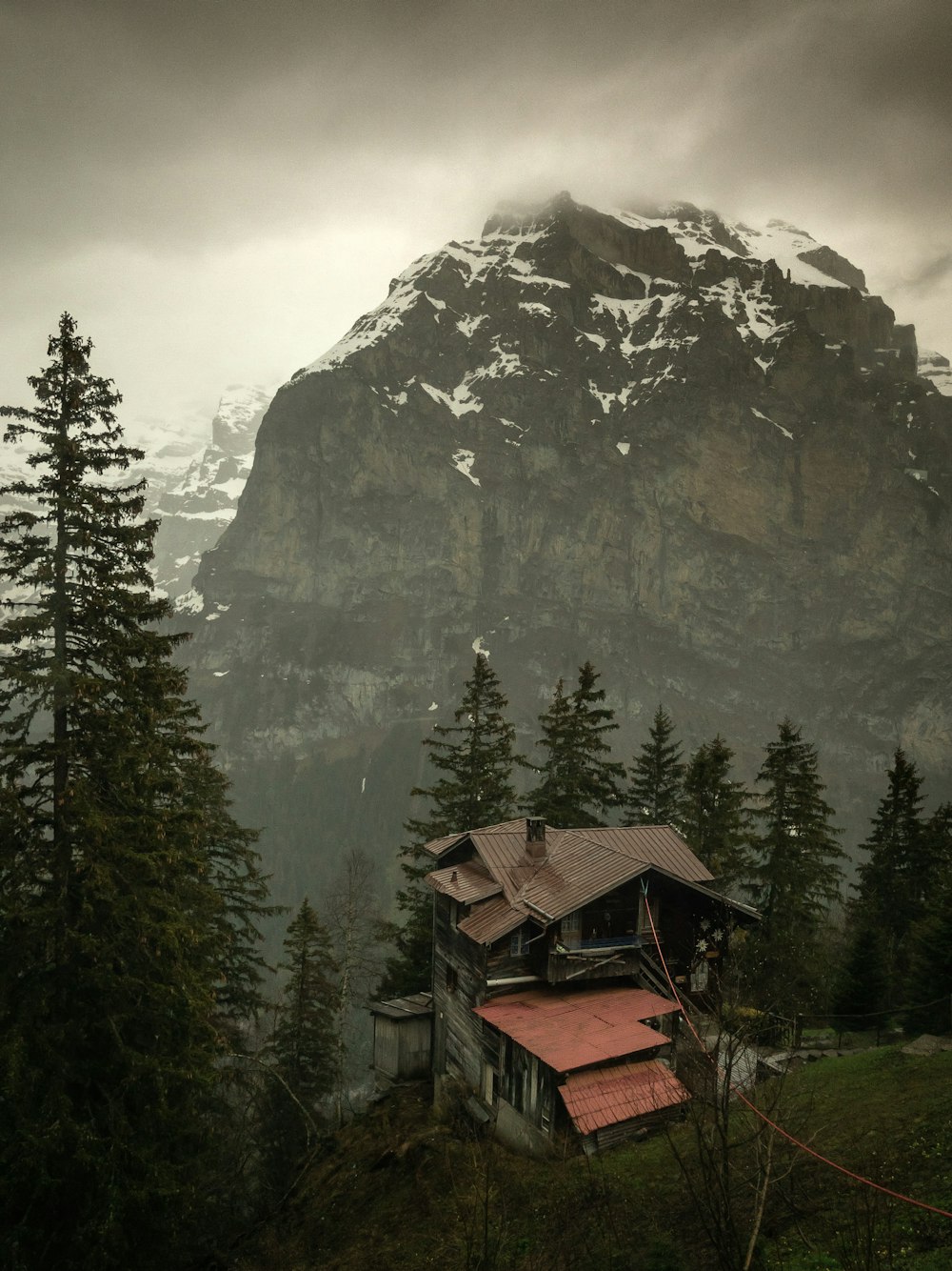 brown wooden house