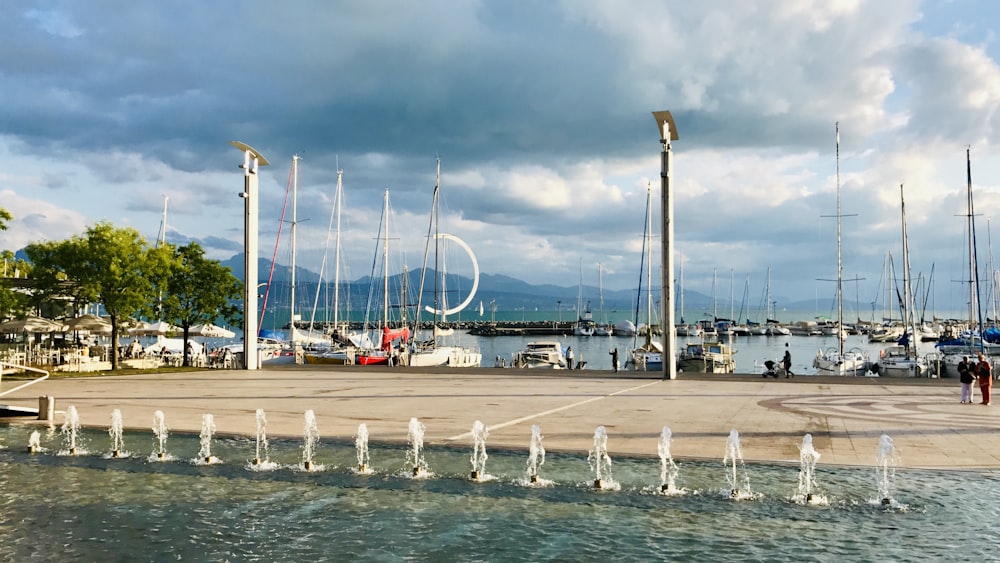 Ein Haufen Boote, die im Wasser sind