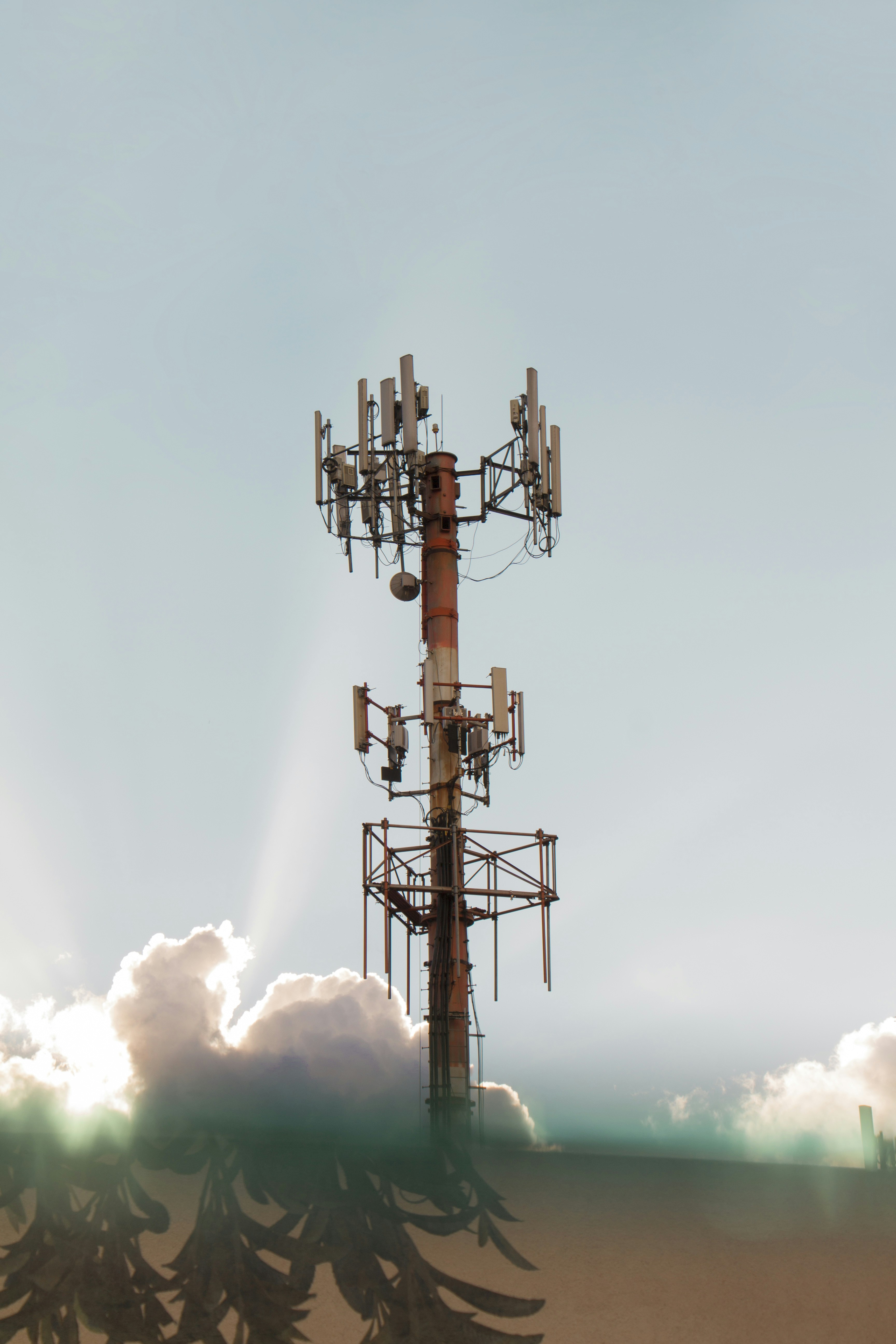 Photo by gabrielaldana