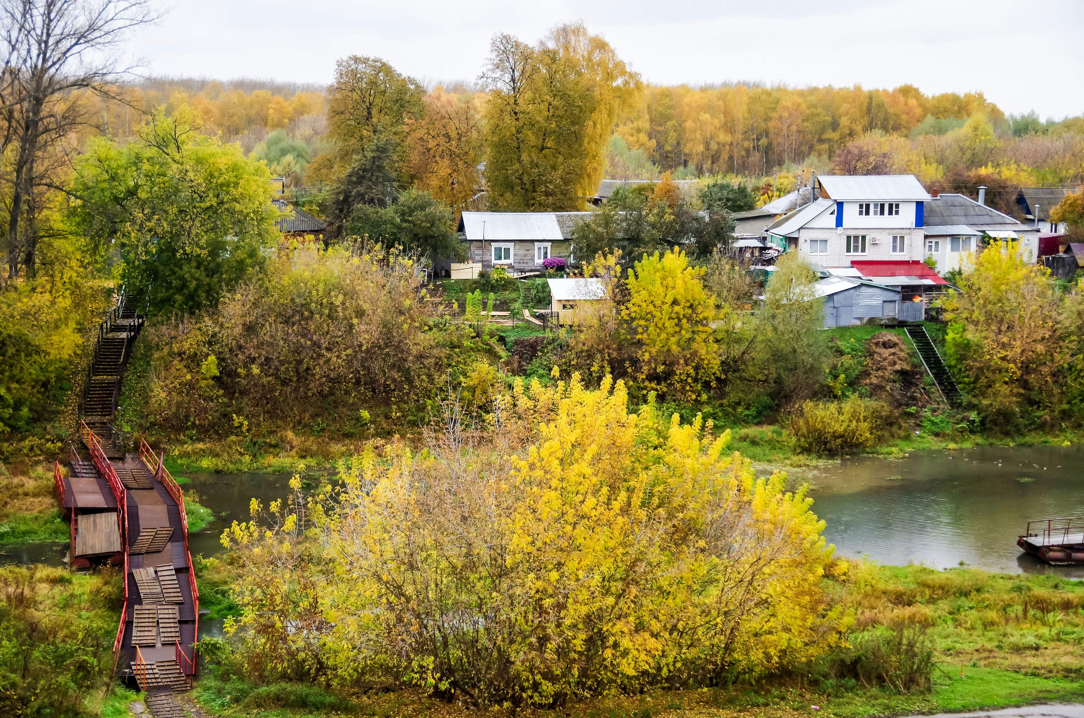 yellow and green trees beside body of water at daytime