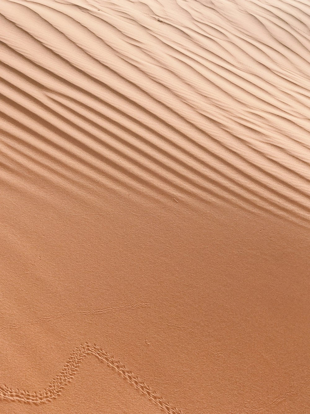 L’image d’un cœur dessiné dans le sable