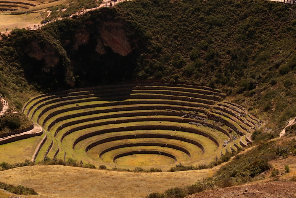 Fotografía de terrazas de arroz