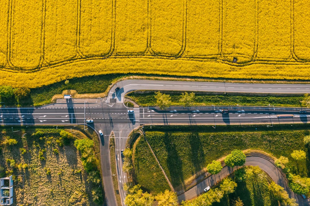 aerial photo of road