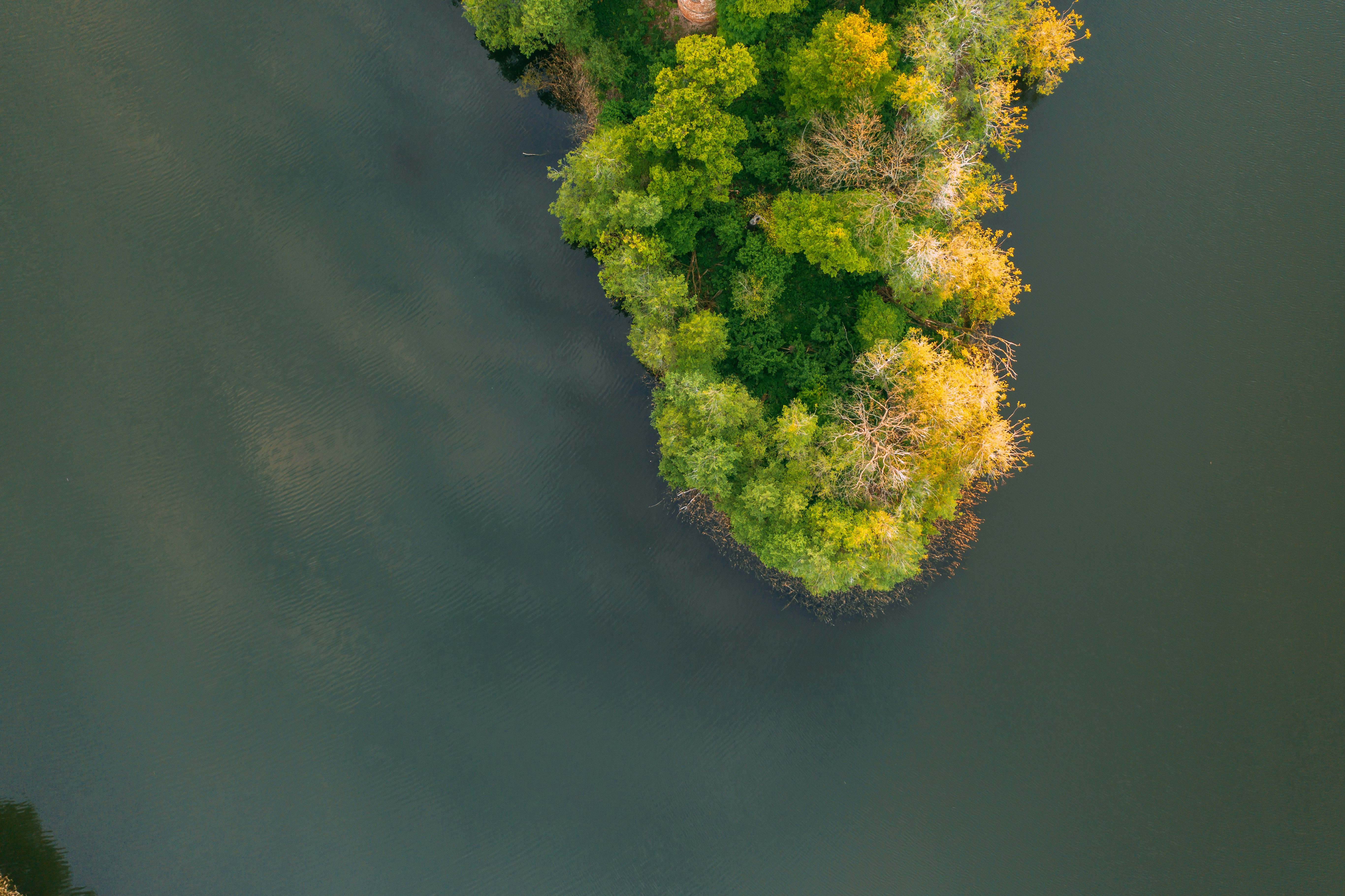 tree covered island during daytime