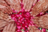 Multiple hands with intricate henna designs are arranged in a circular pattern over a bed of vibrant pink rose petals. The hands feature various traditional motifs, with most nails painted in shades of pink.