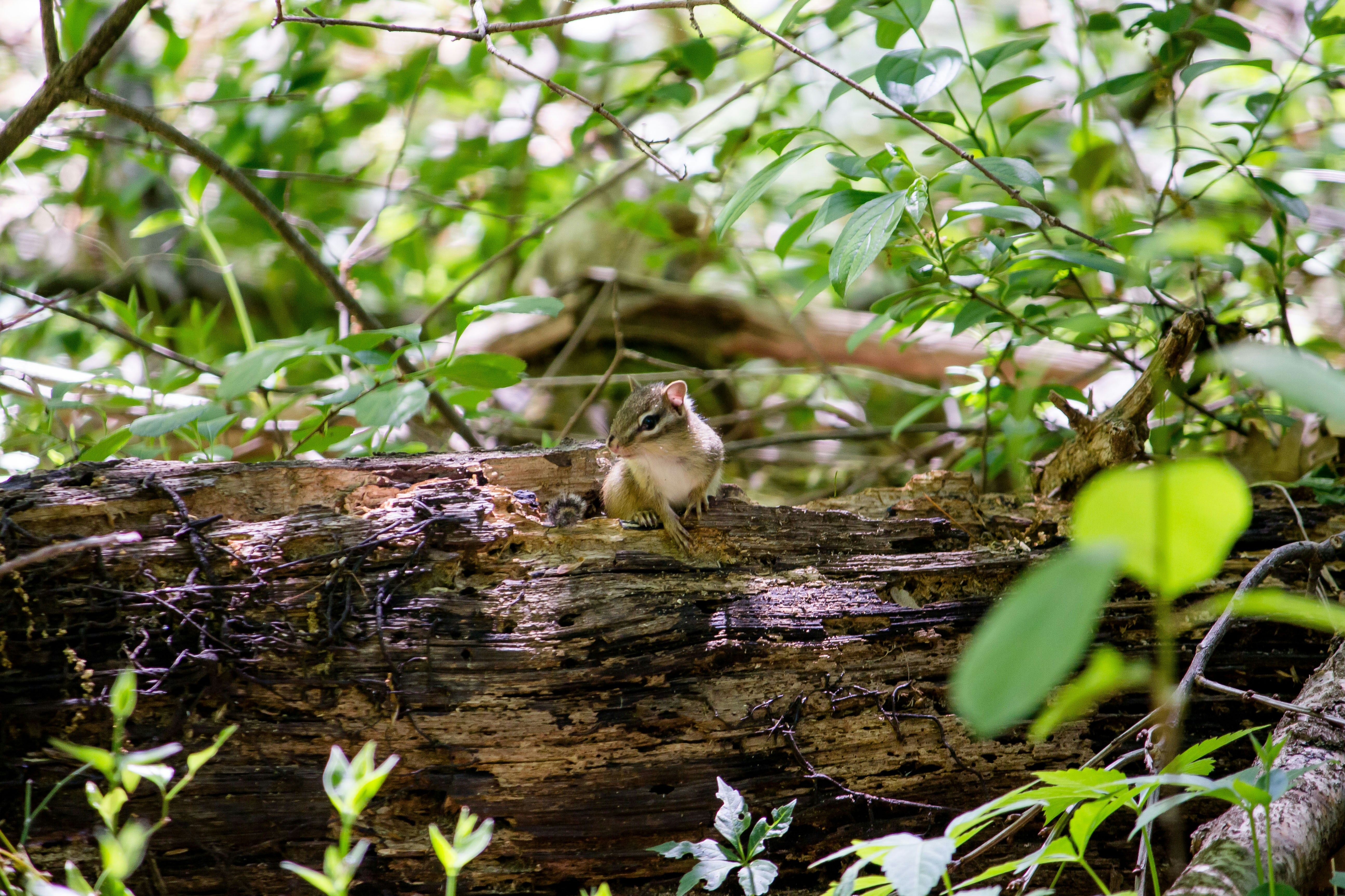 Photo by bonniekdesign