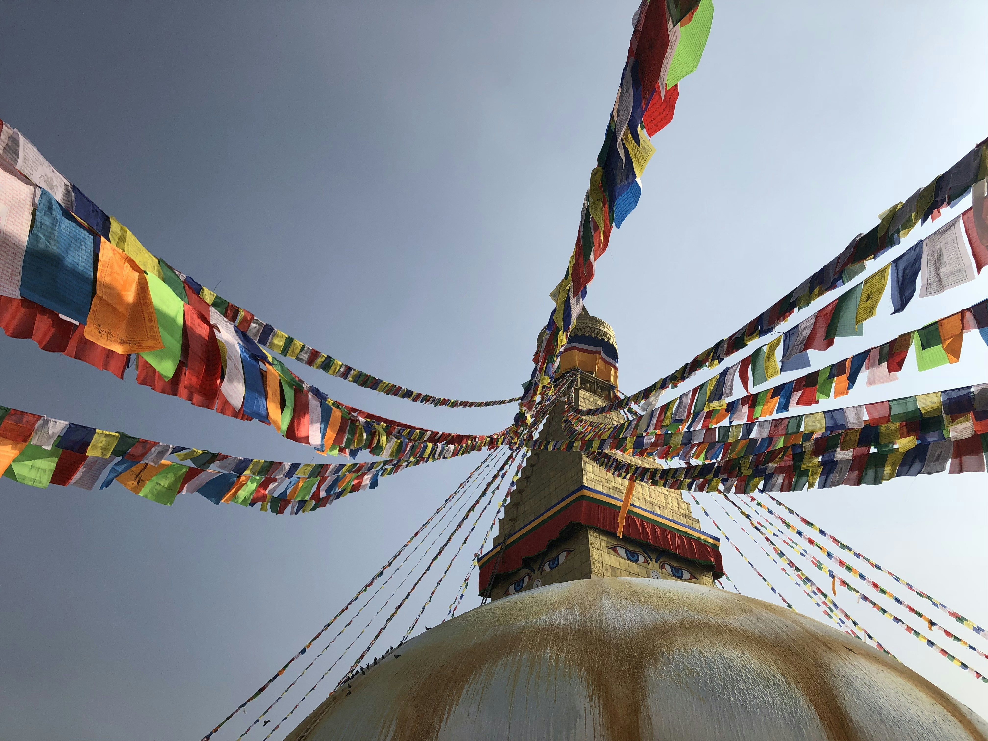 Photo by stefanozancan