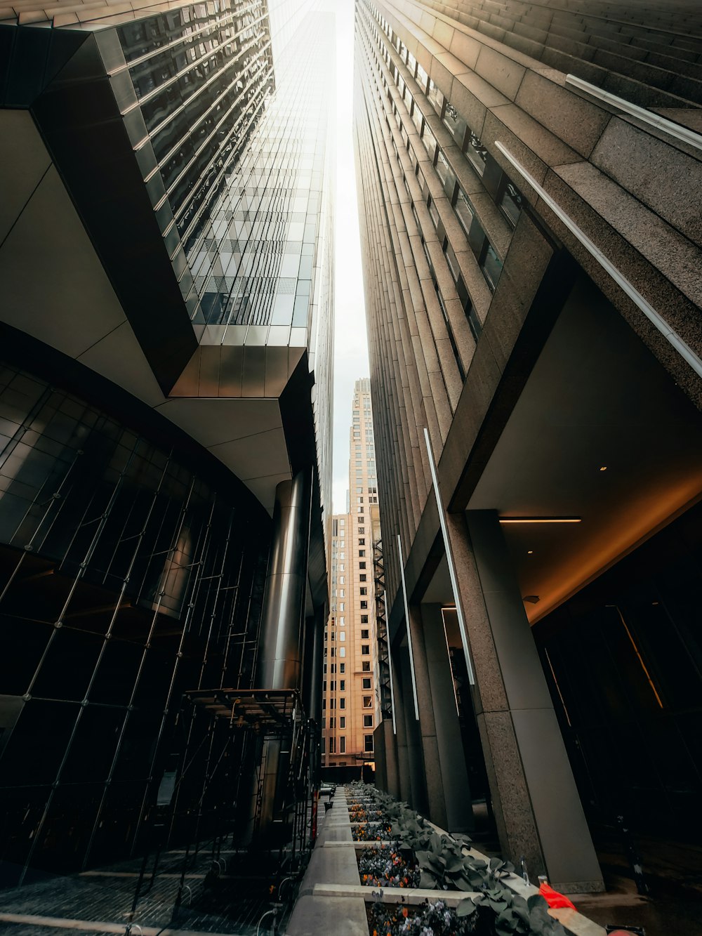 low-angle photography of high-rise building