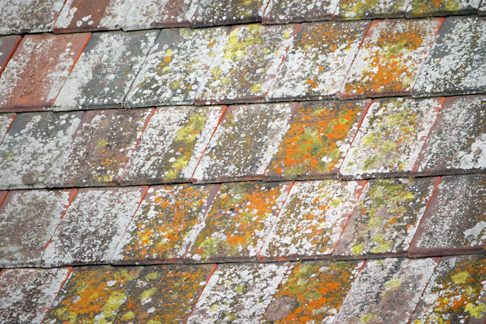 Michigan Roofing Cost Guide