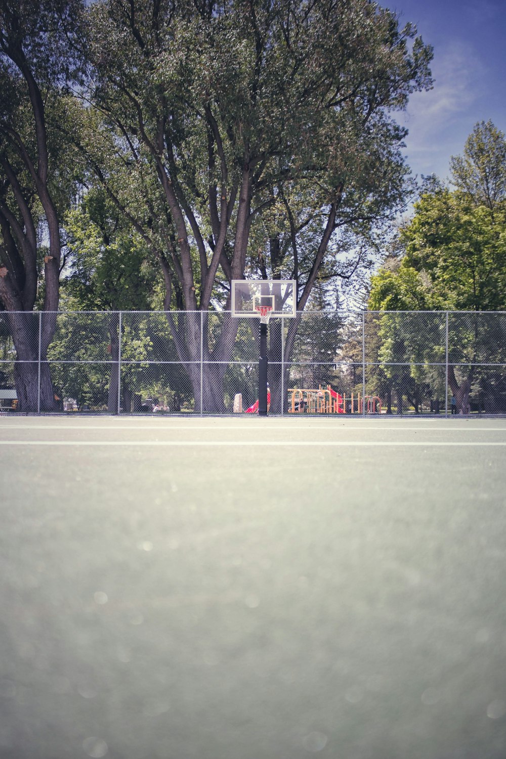 white portable basketball system under green tree