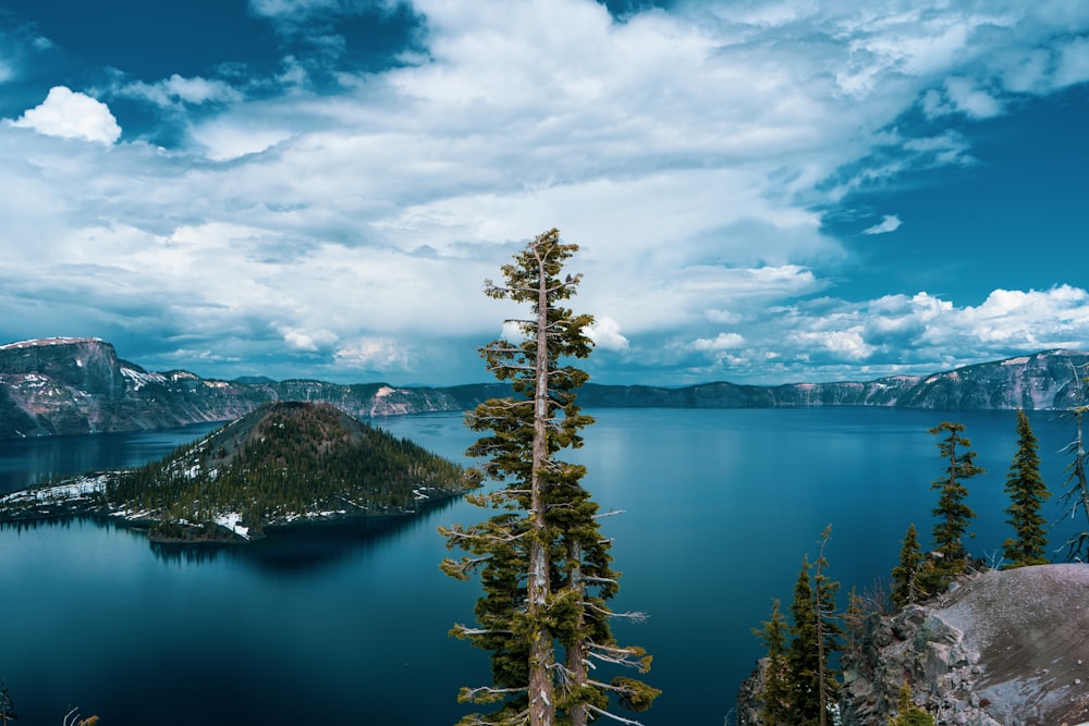 a view of a large body of water from a hill